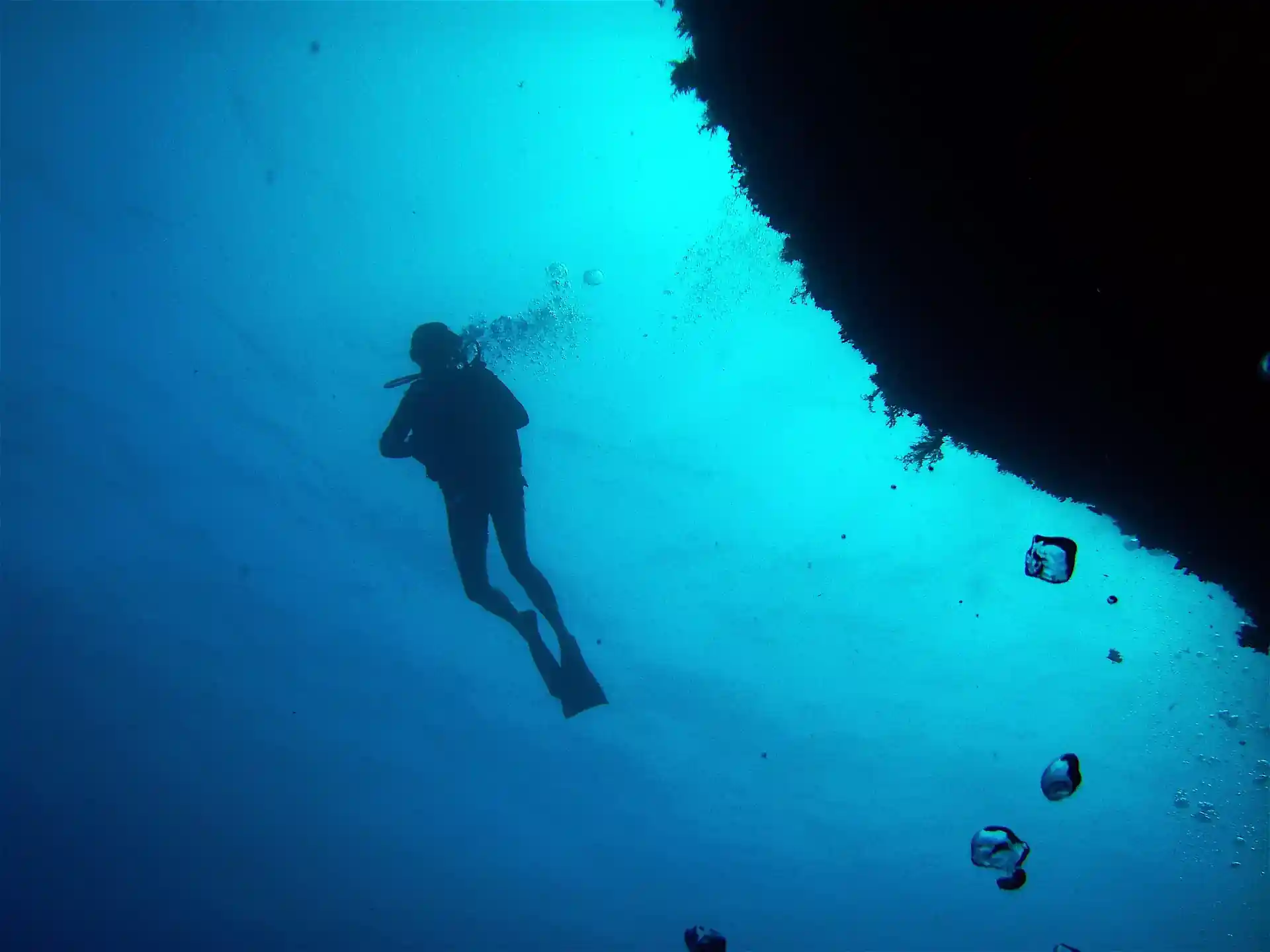 Dive site photo