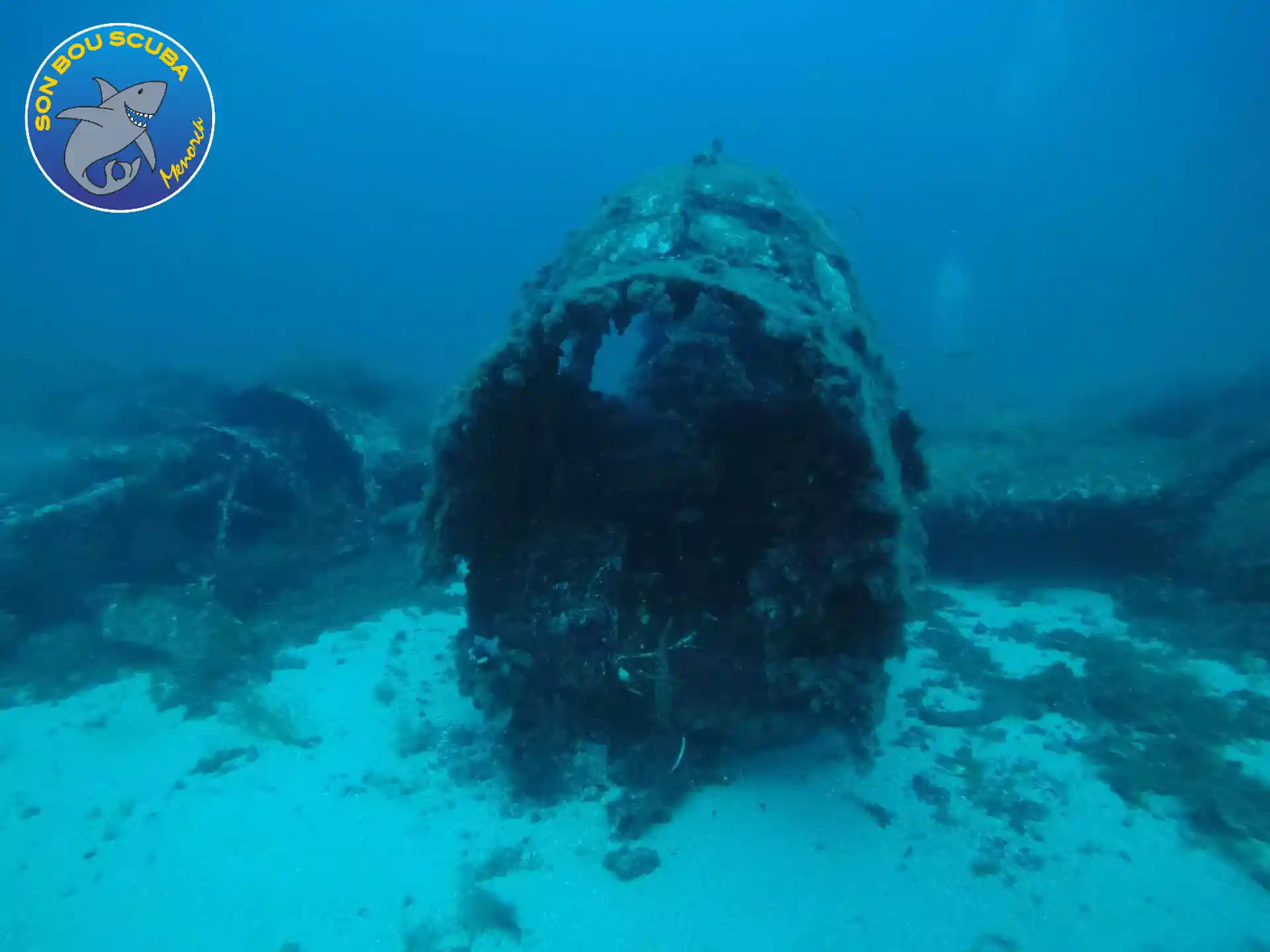 Dive site photo