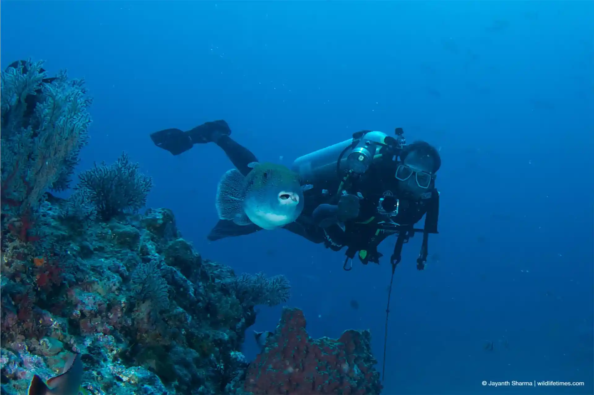 Dive shop photo