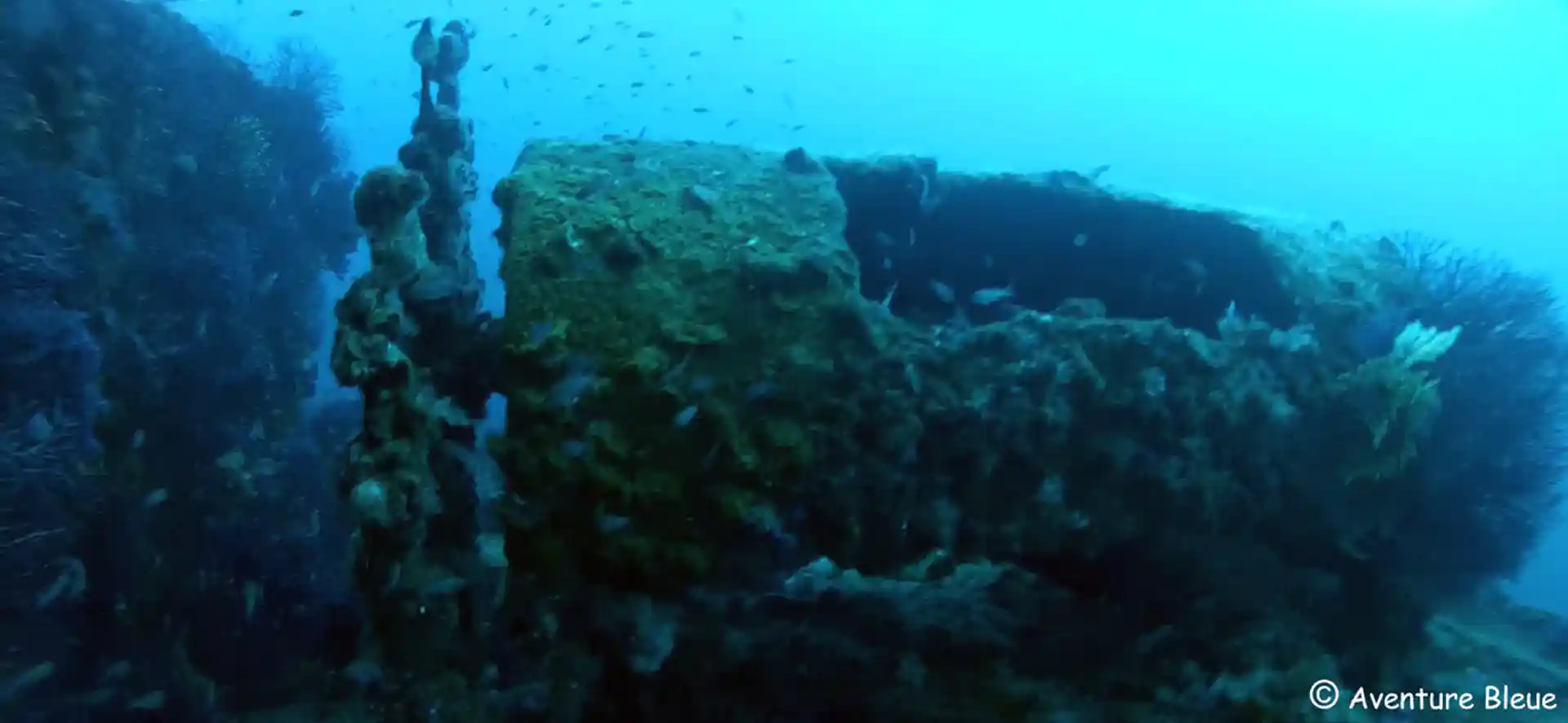 ダイビングサイトの写真