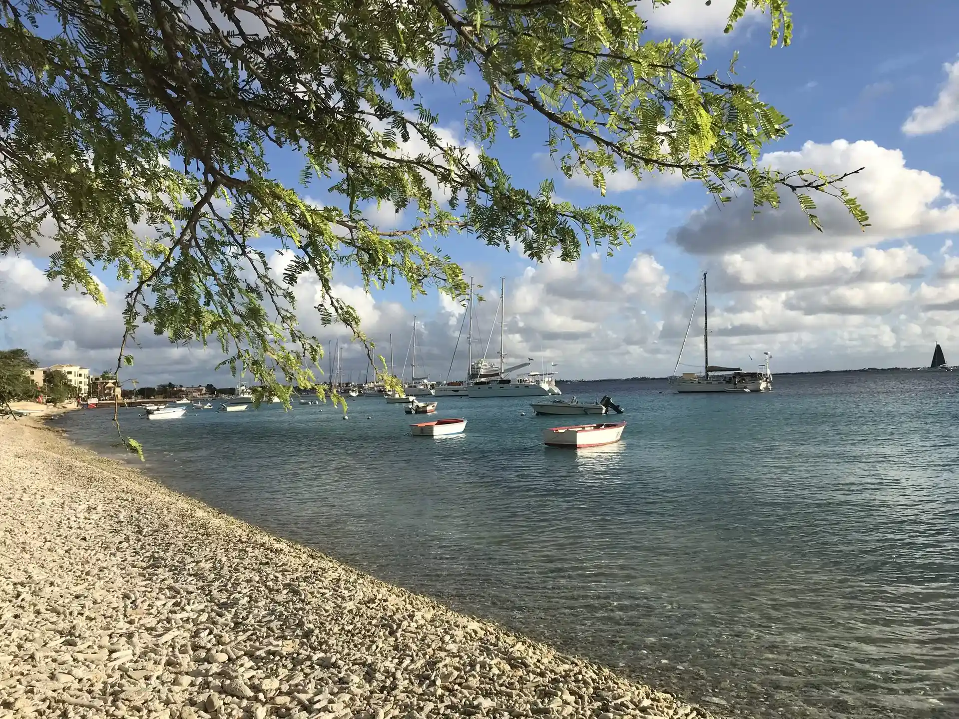 Dive site photo