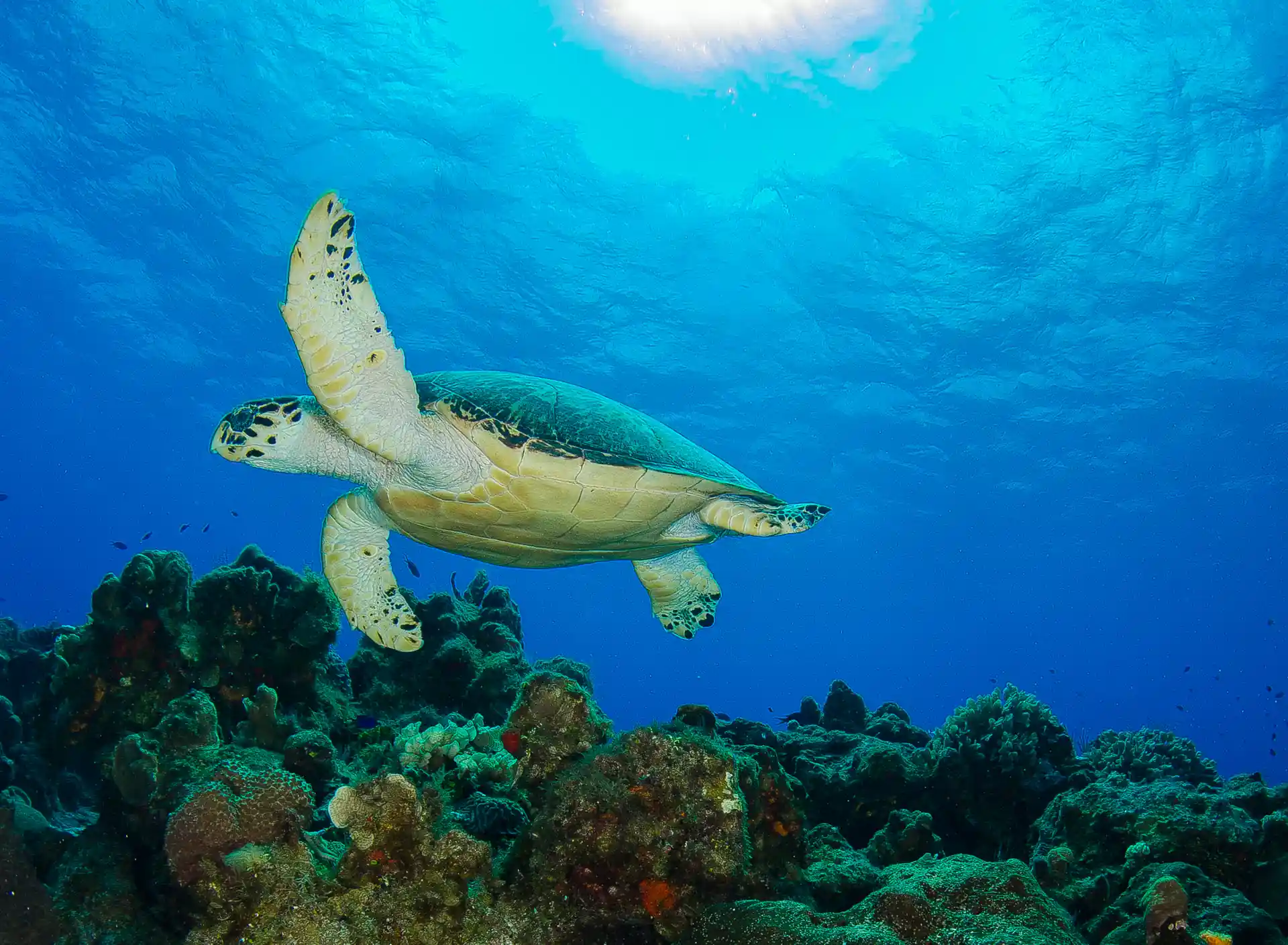 Foto de la actividad