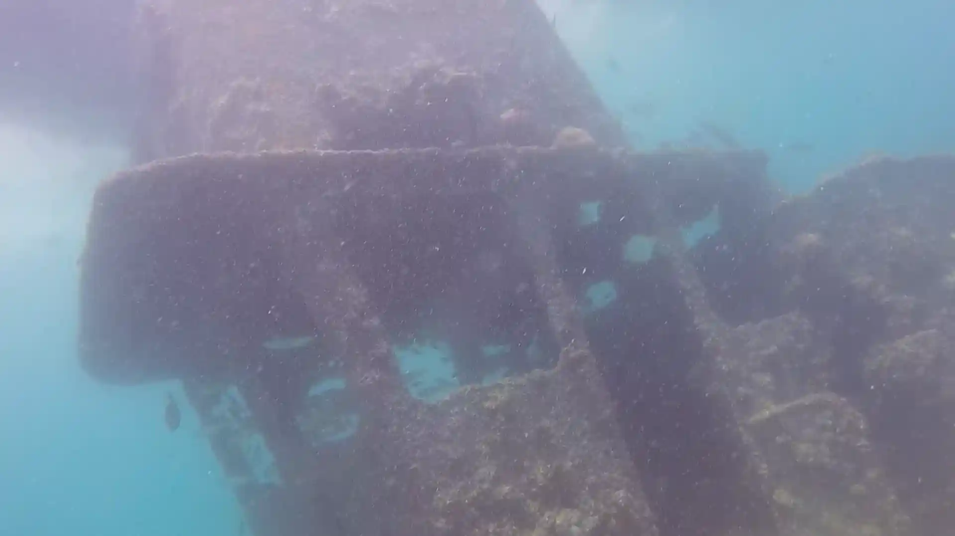 Dive site photo
