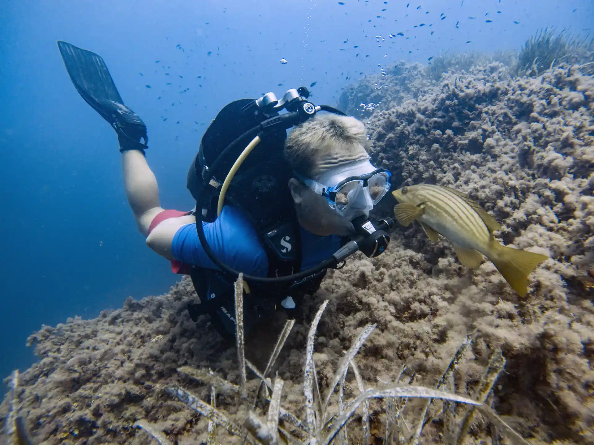 ¡Lleva tu aventura submarina al siguiente nivel con el curso PADI Advanced Open Water en el Parque Natural de Cabo de Gata!