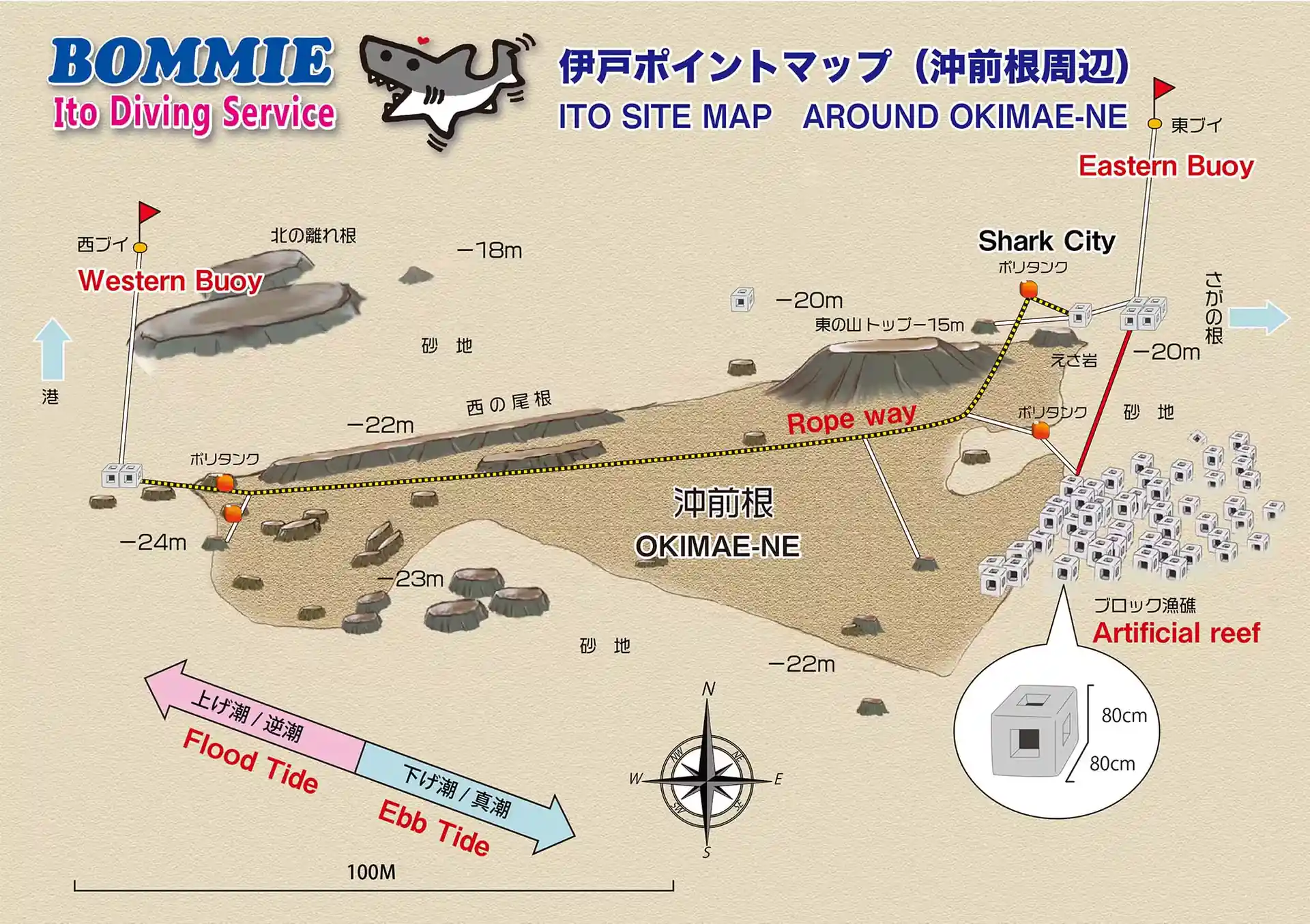 다이빙 포인트 사진