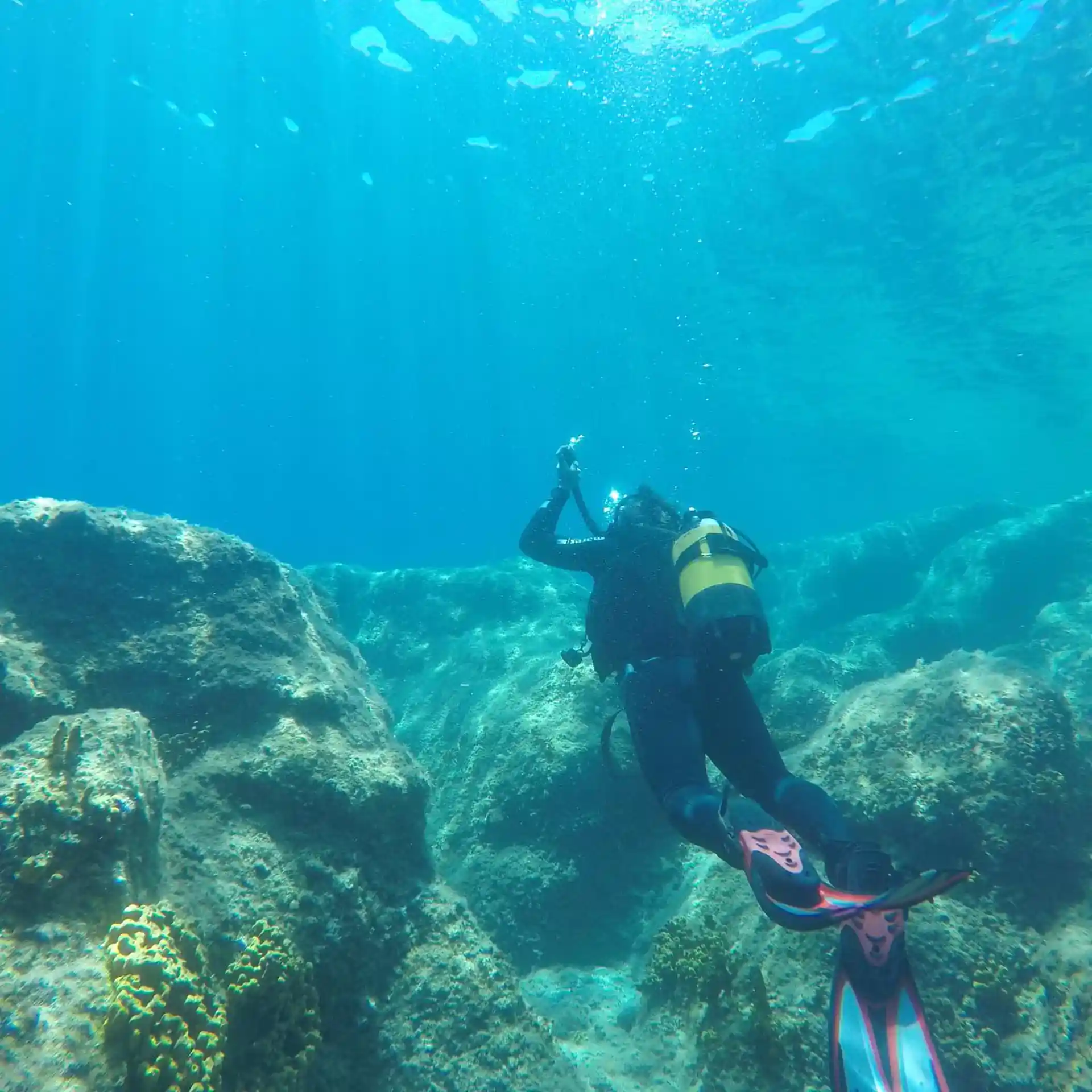 ダイビングサイトの写真