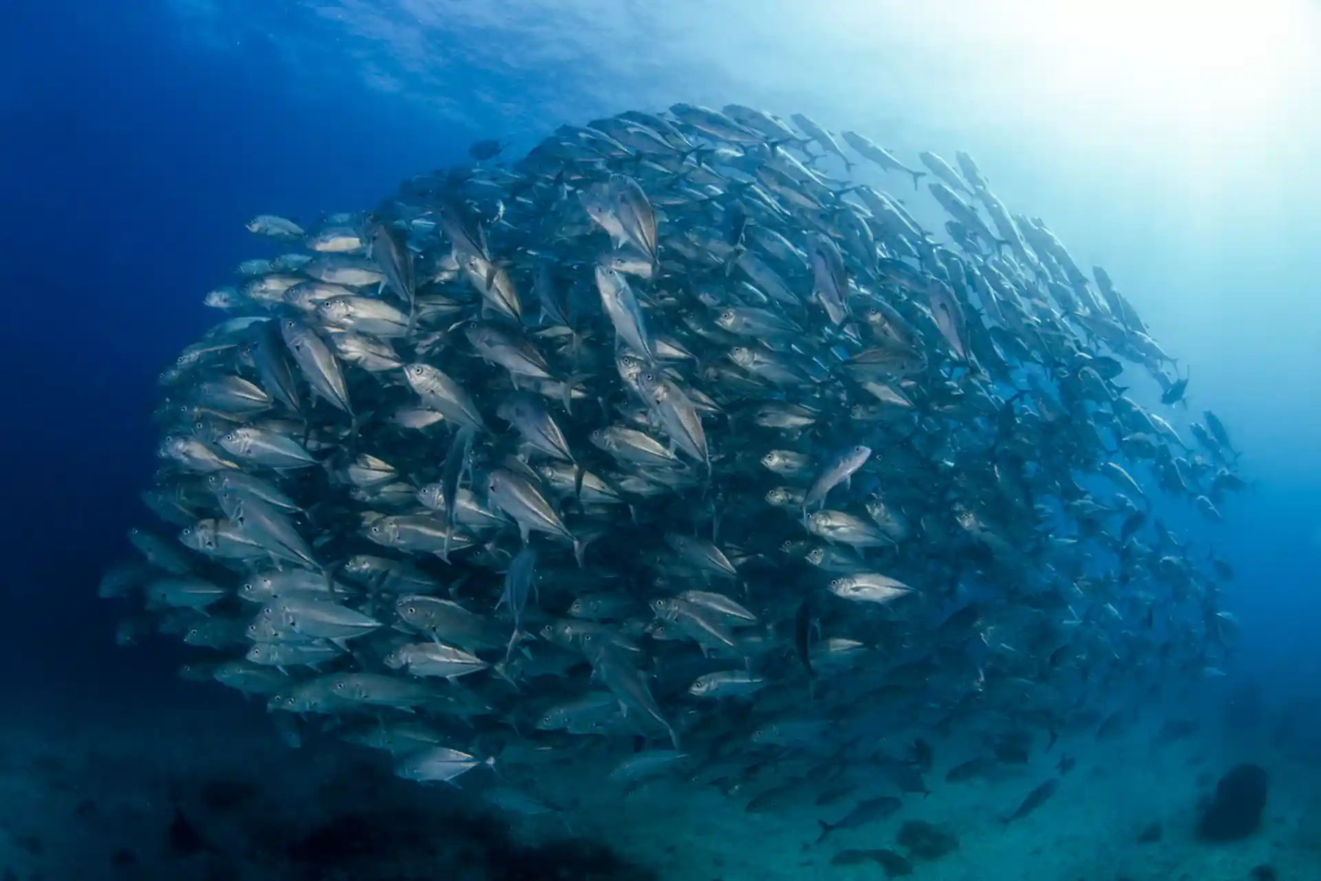 Dive site photo