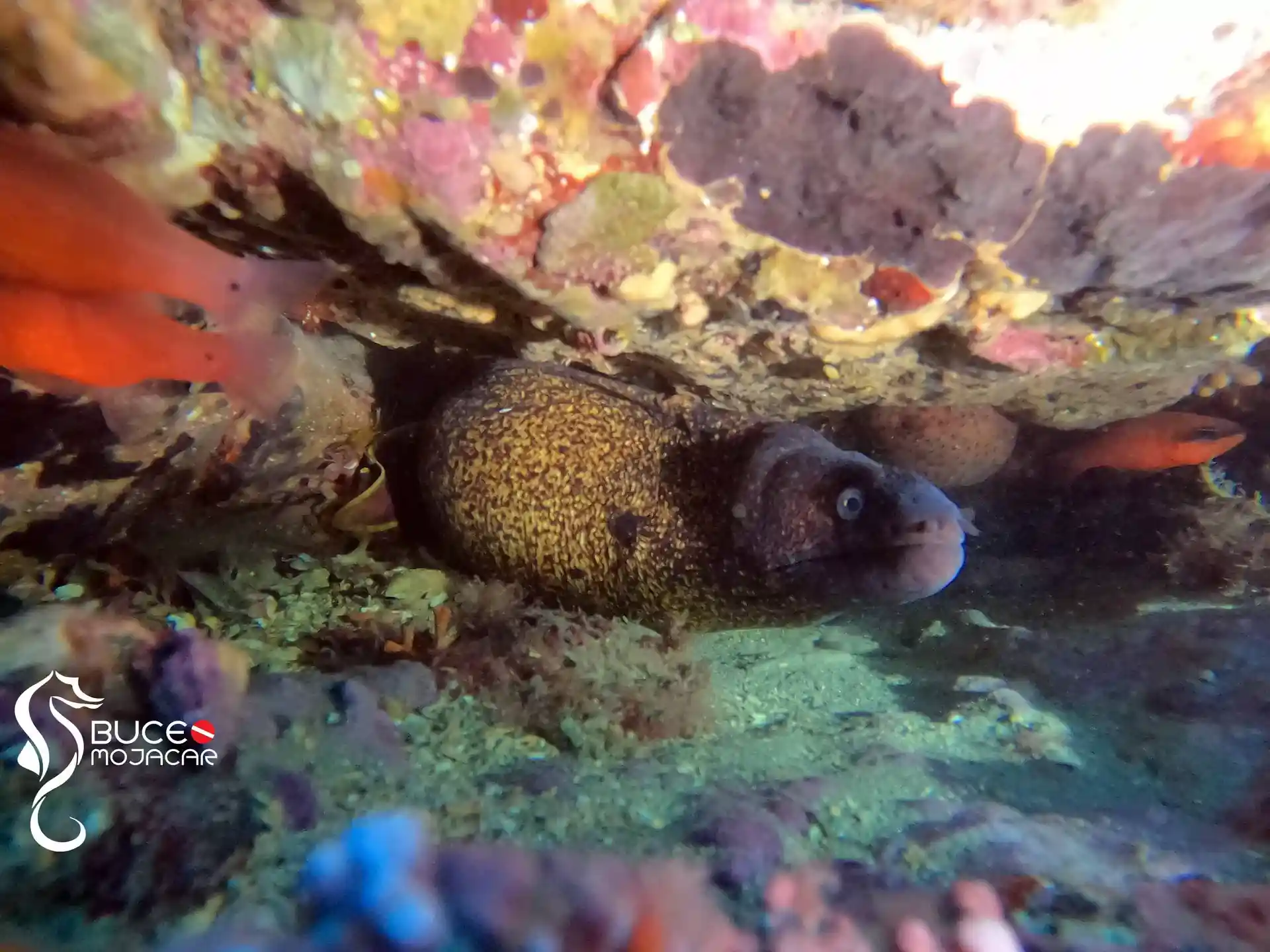 Dive site photo