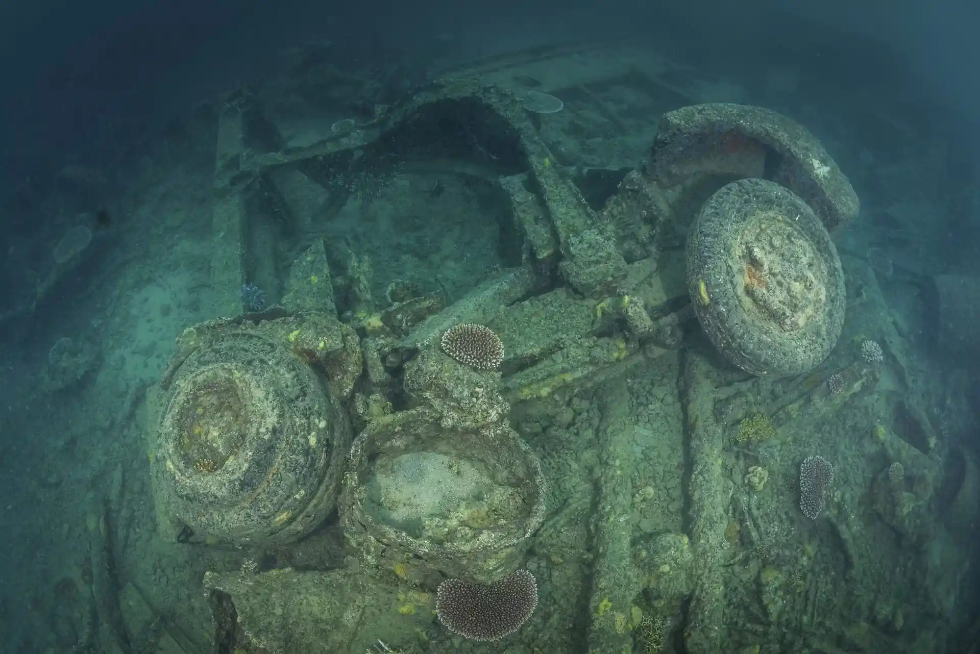 Dive site photo
