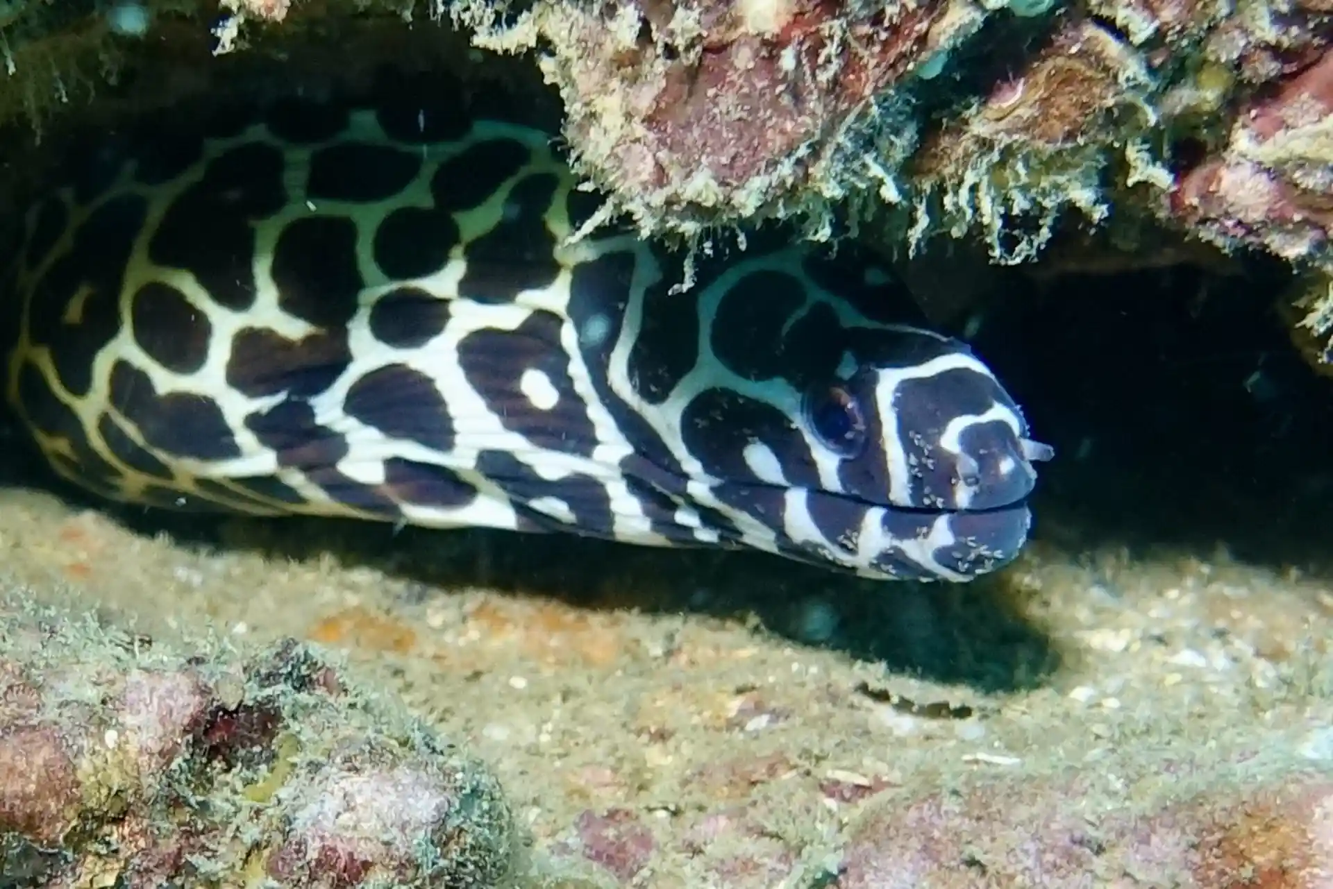 ダイビングサイトの写真