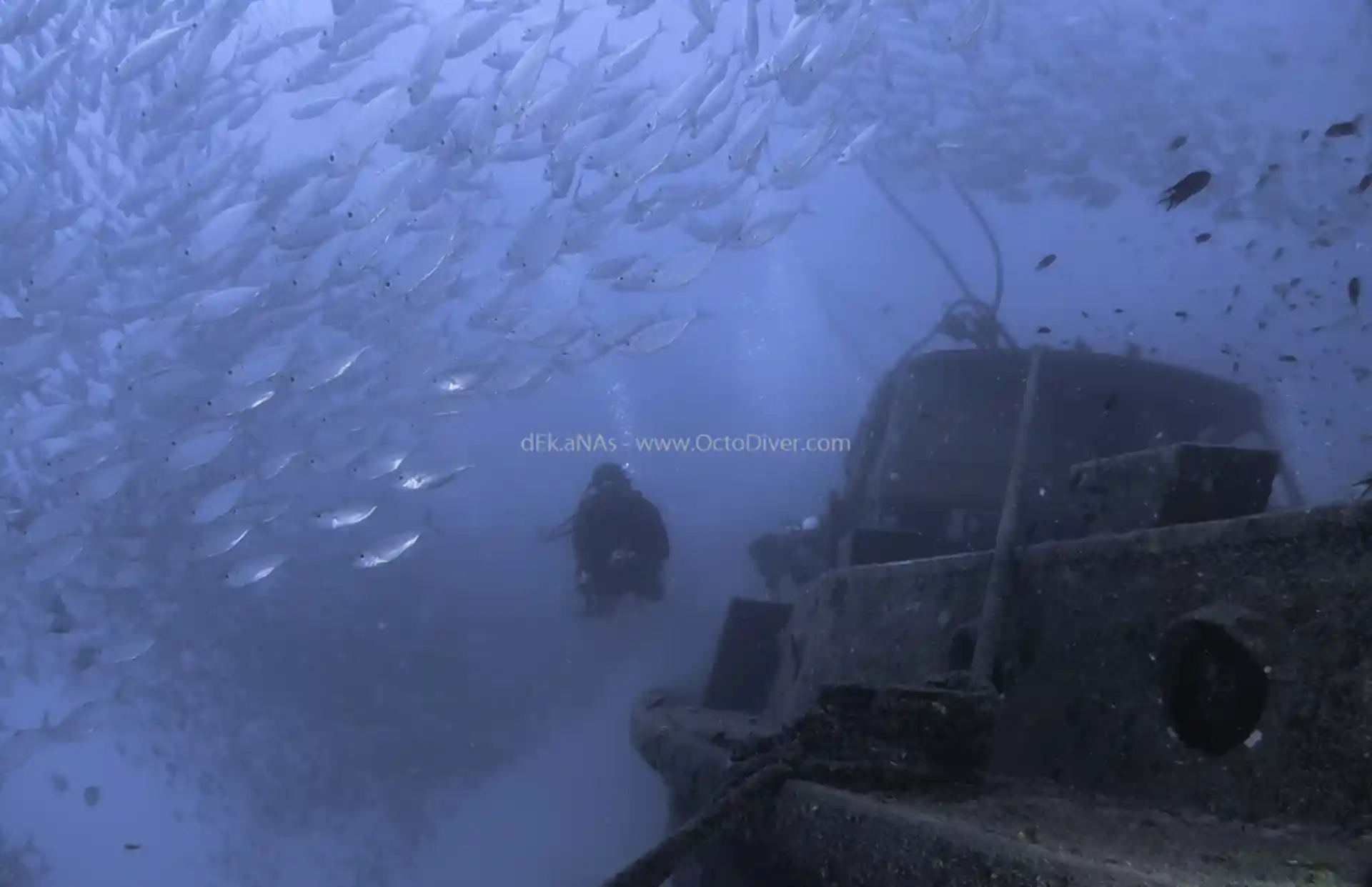 다이빙 포인트 사진