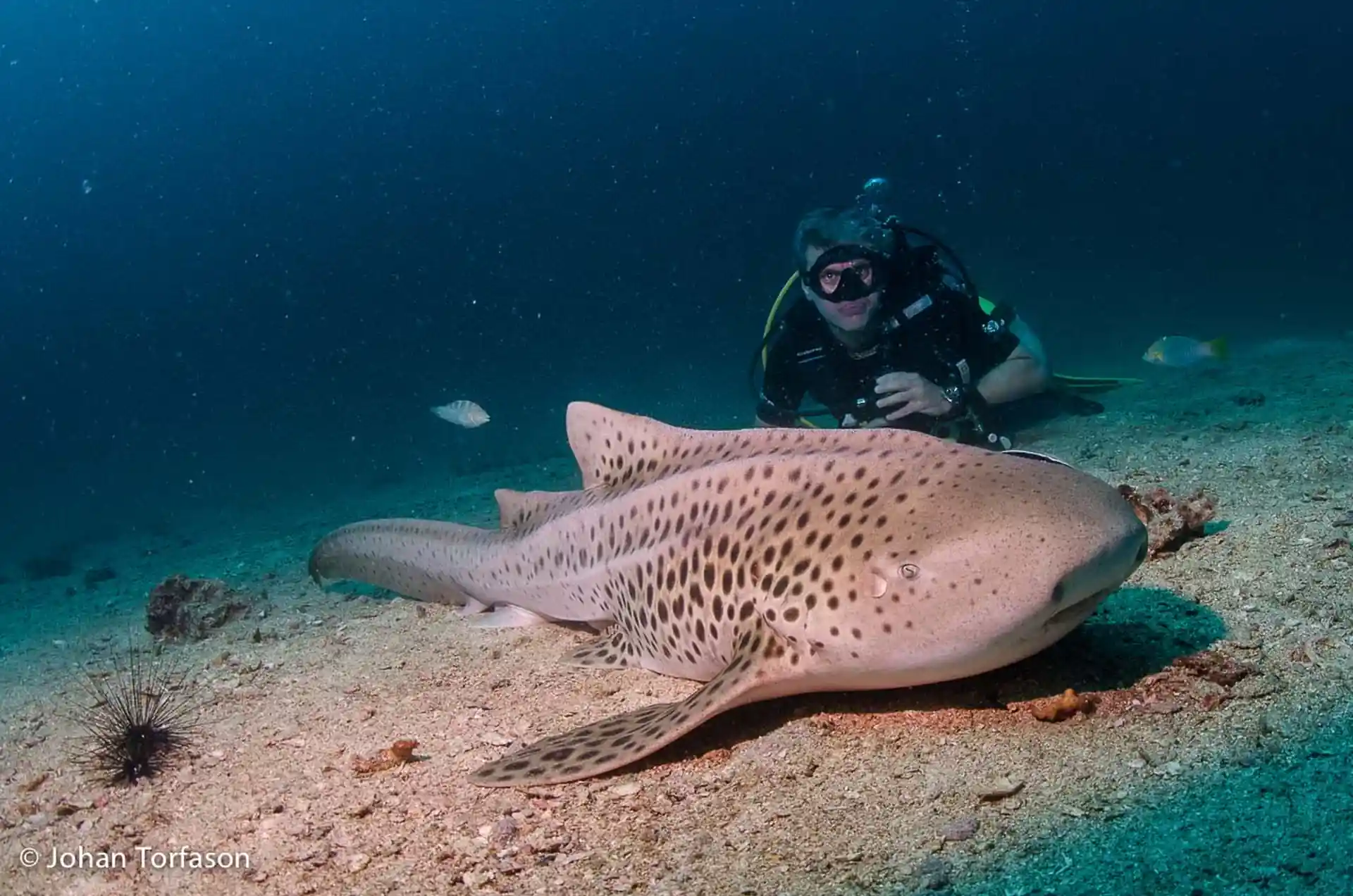 Dive shop photo