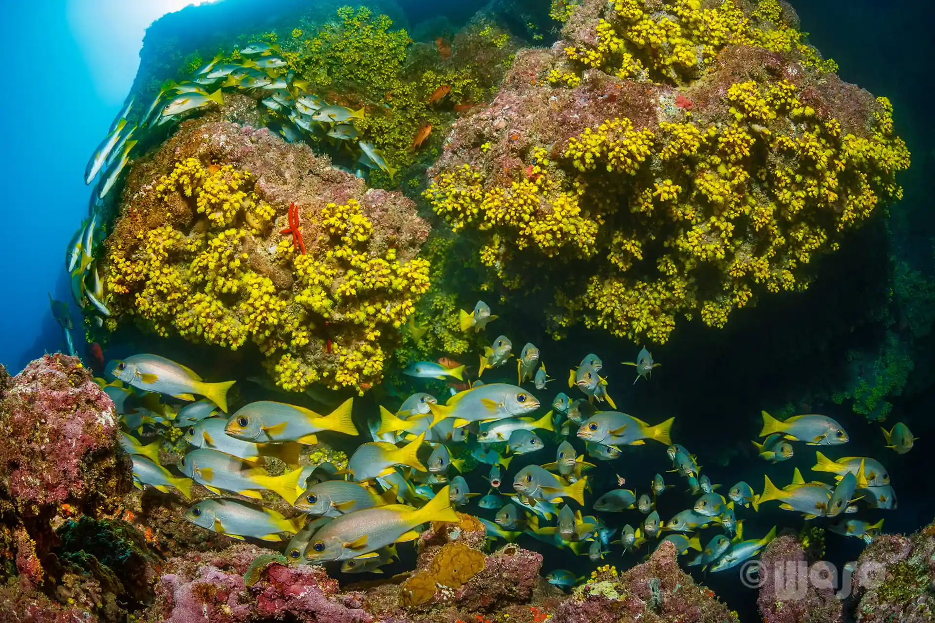 Foto van de duiklocatie