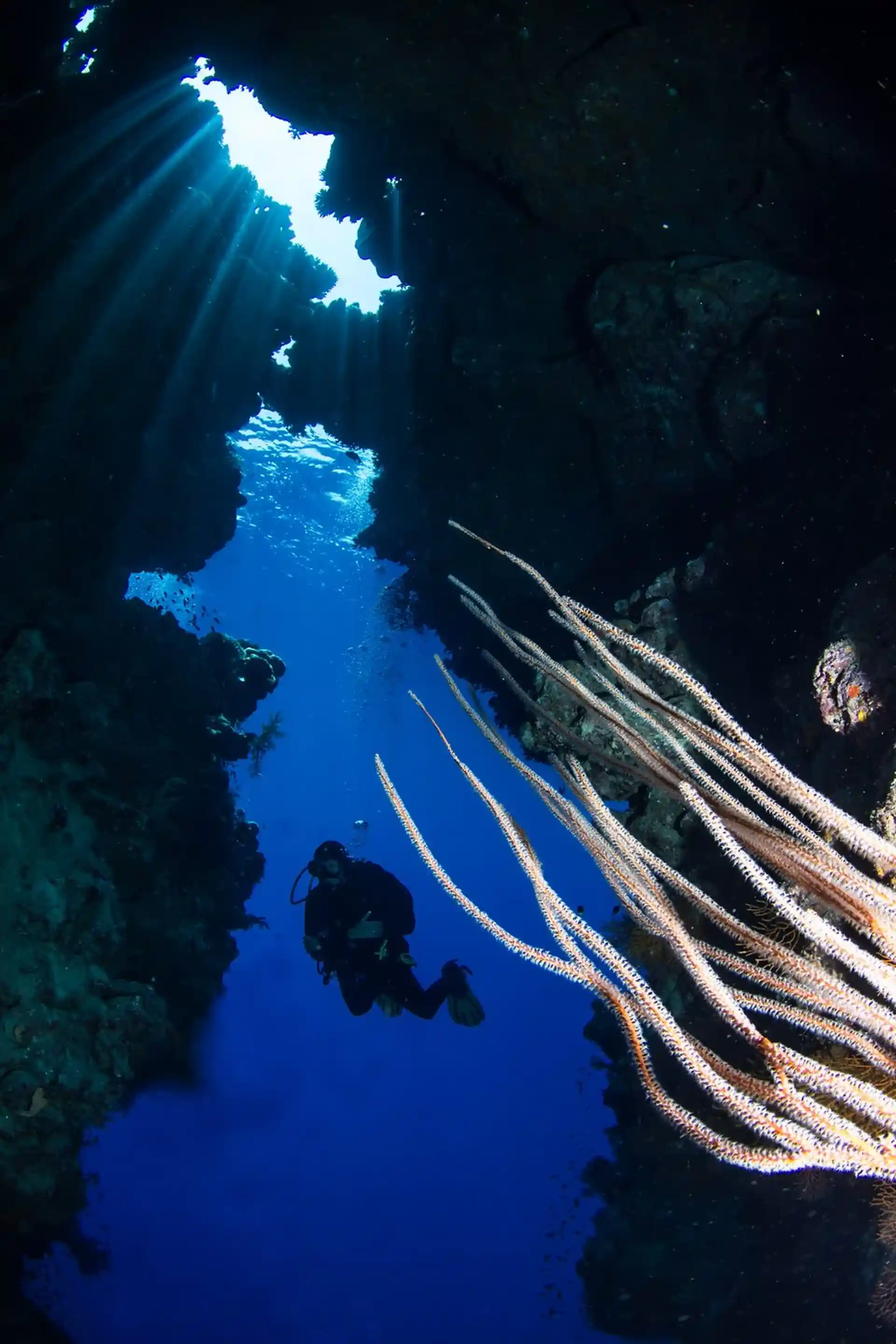 Dive site photo