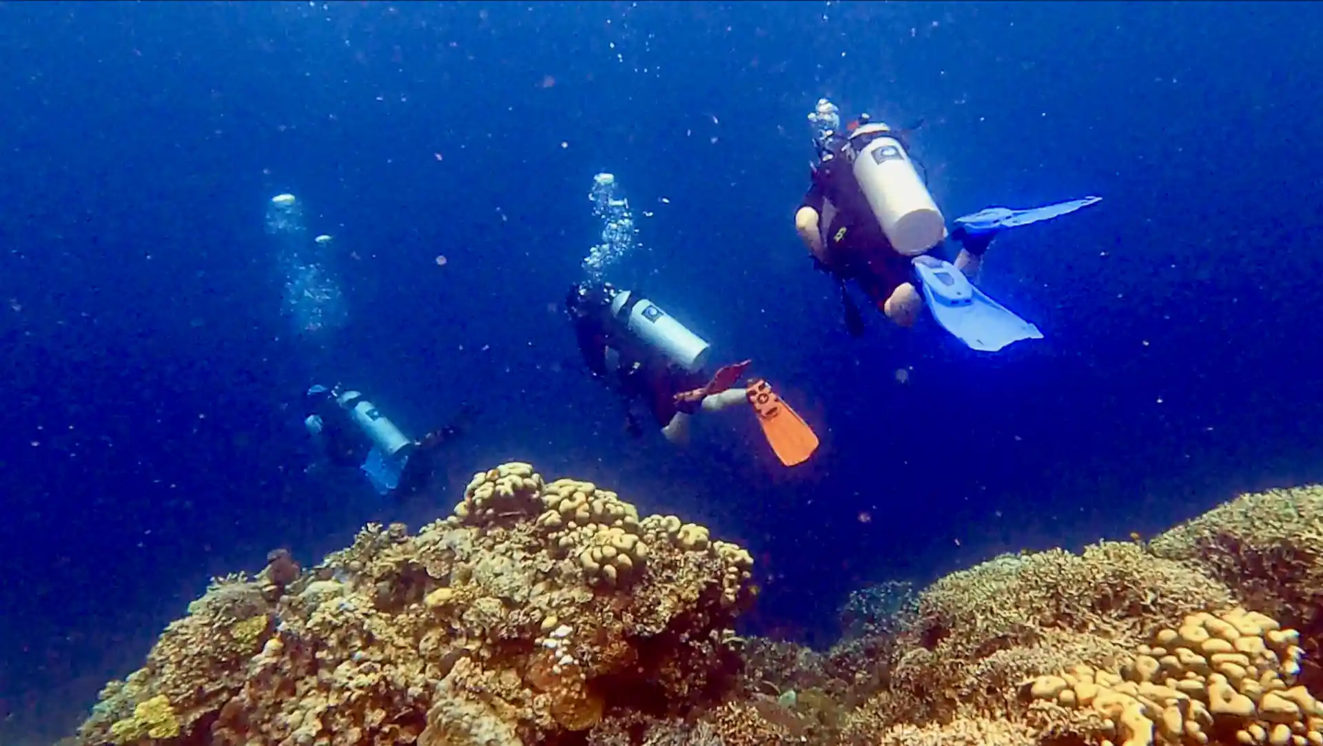 Re-discover the thrill of scuba diving.