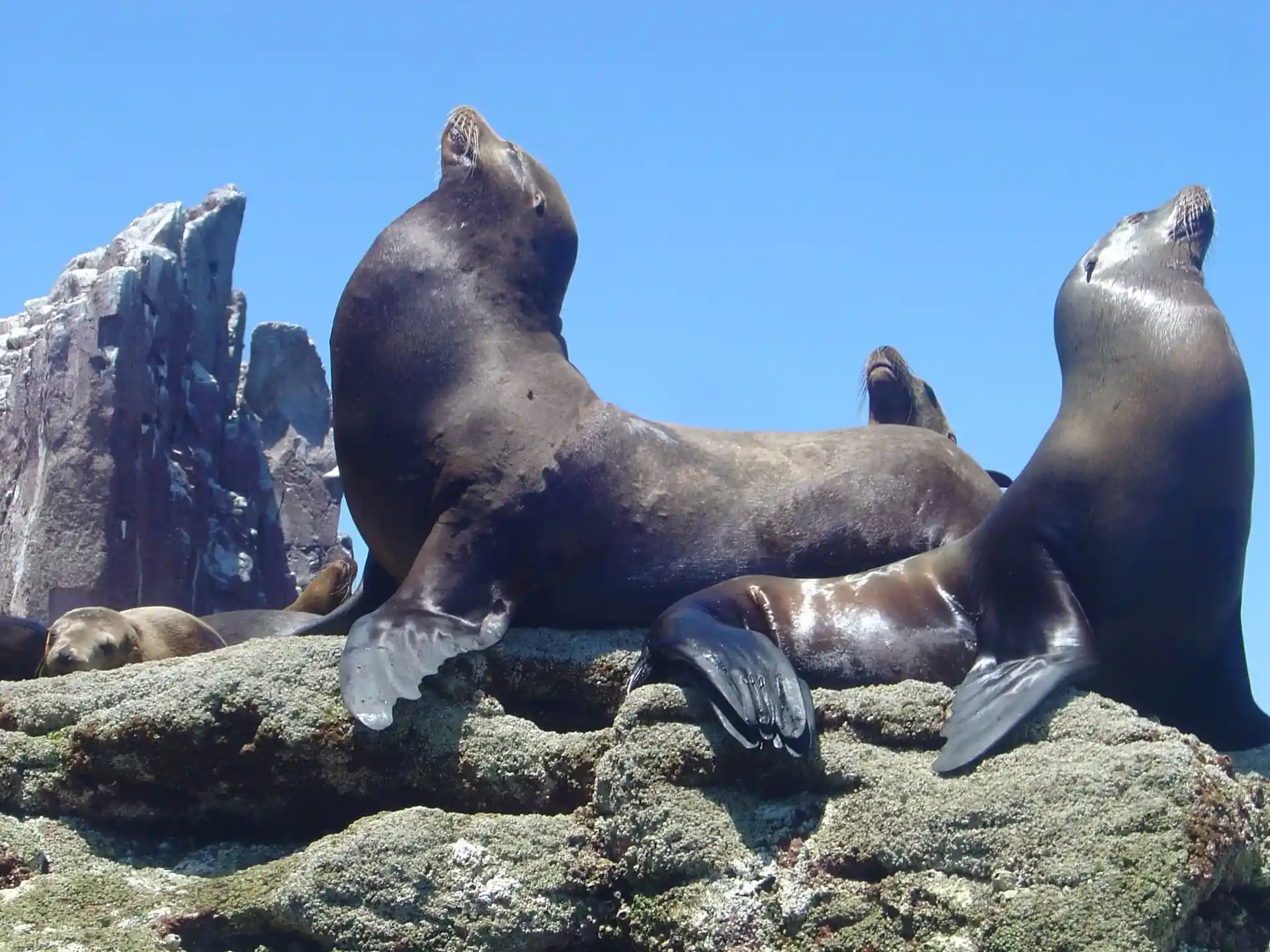 Dive site photo