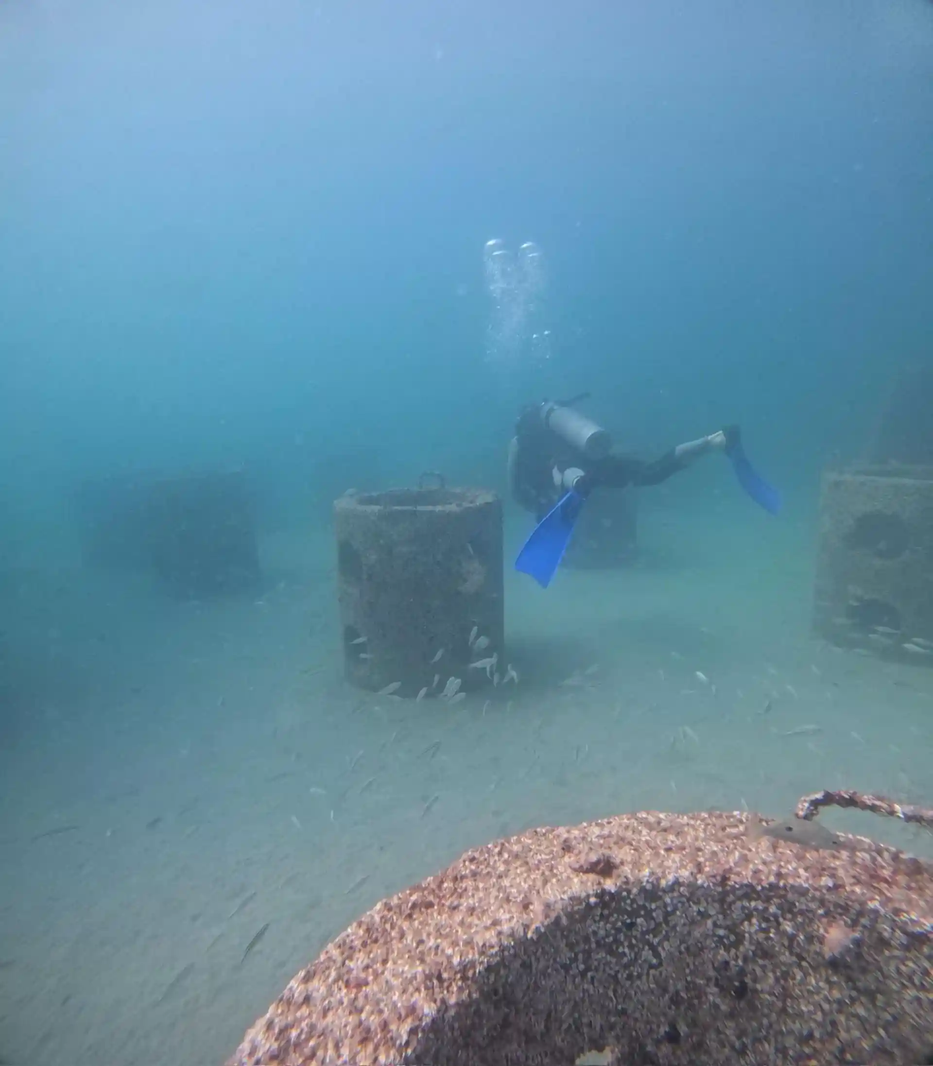 Dive site photo