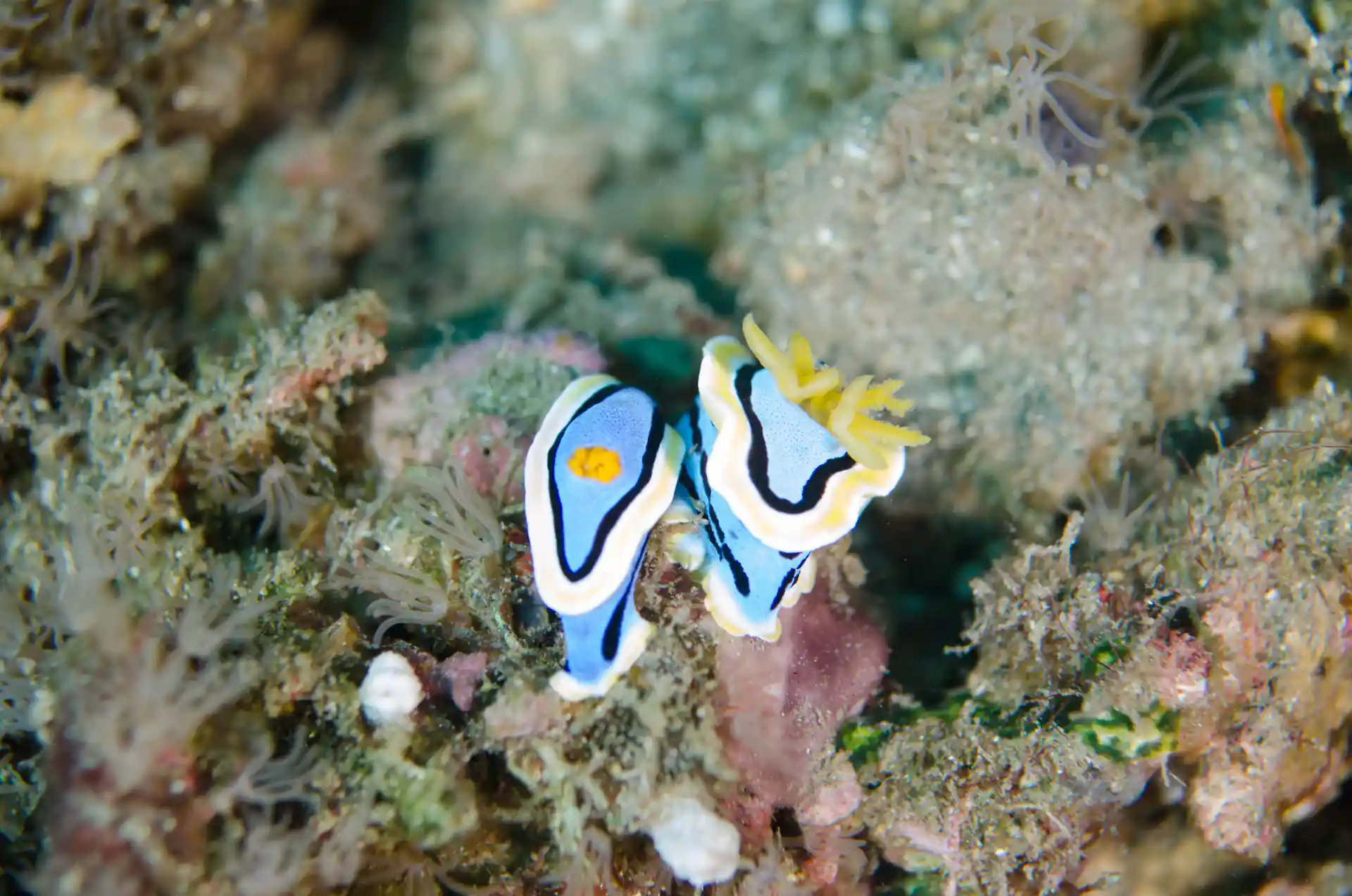 Dive shop photo