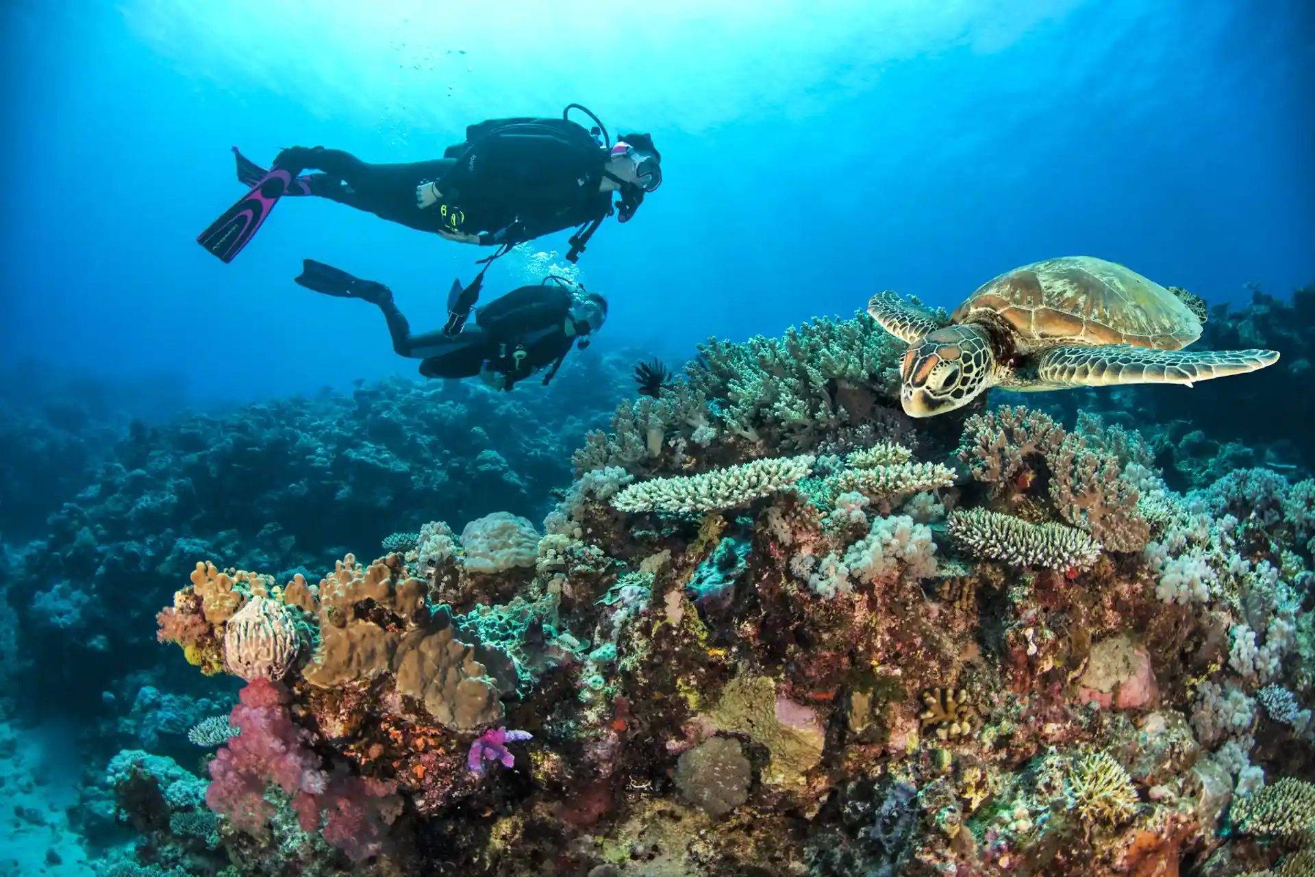 Dive site photo