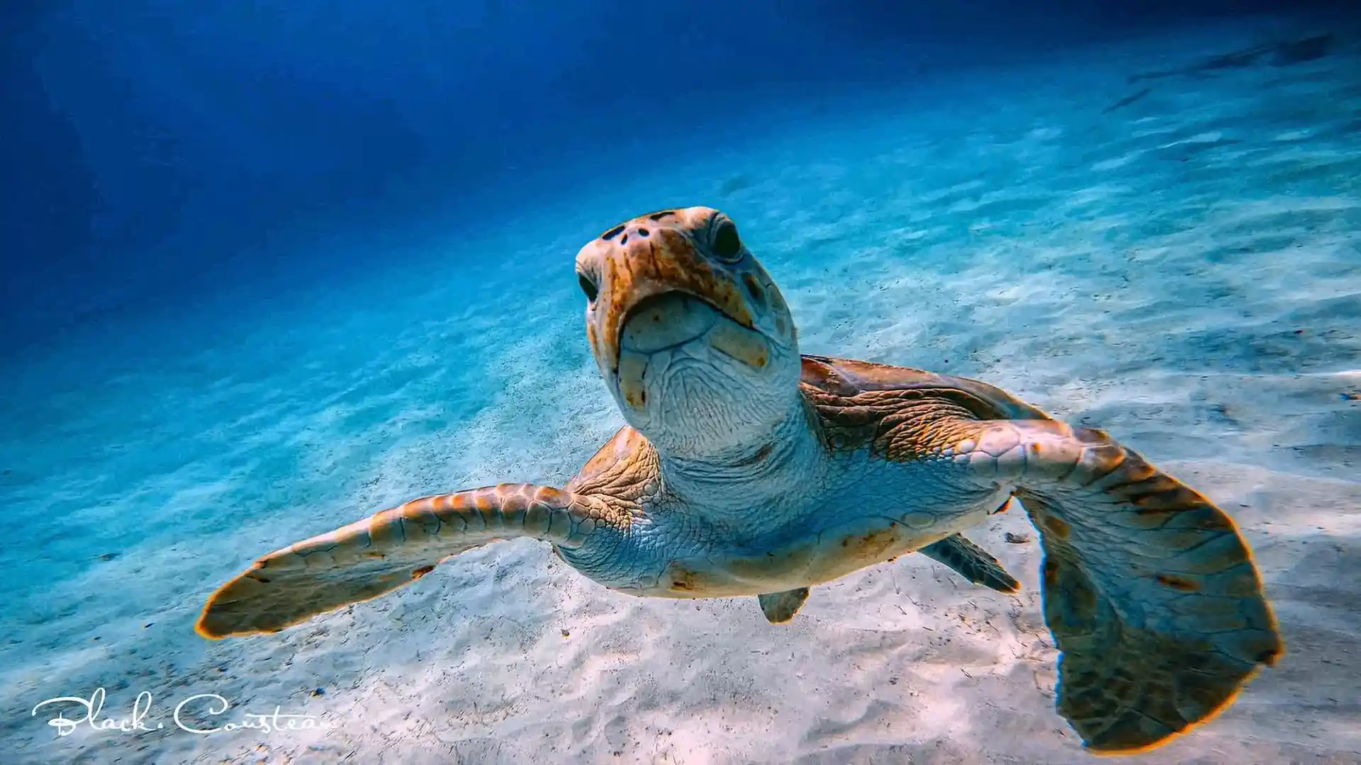 Dive site photo