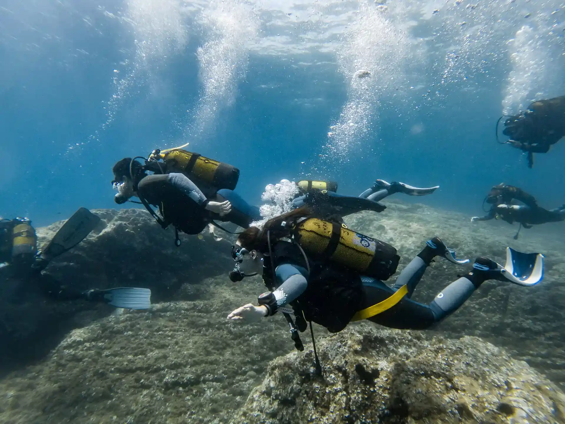 Dive shop photo