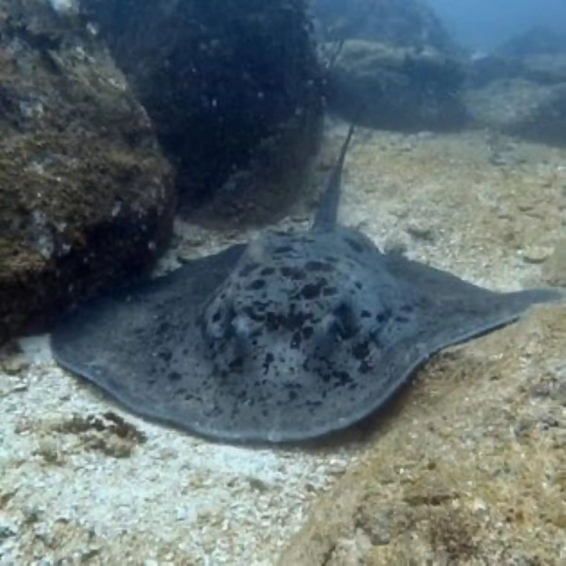 Foto des Tauchplatzes