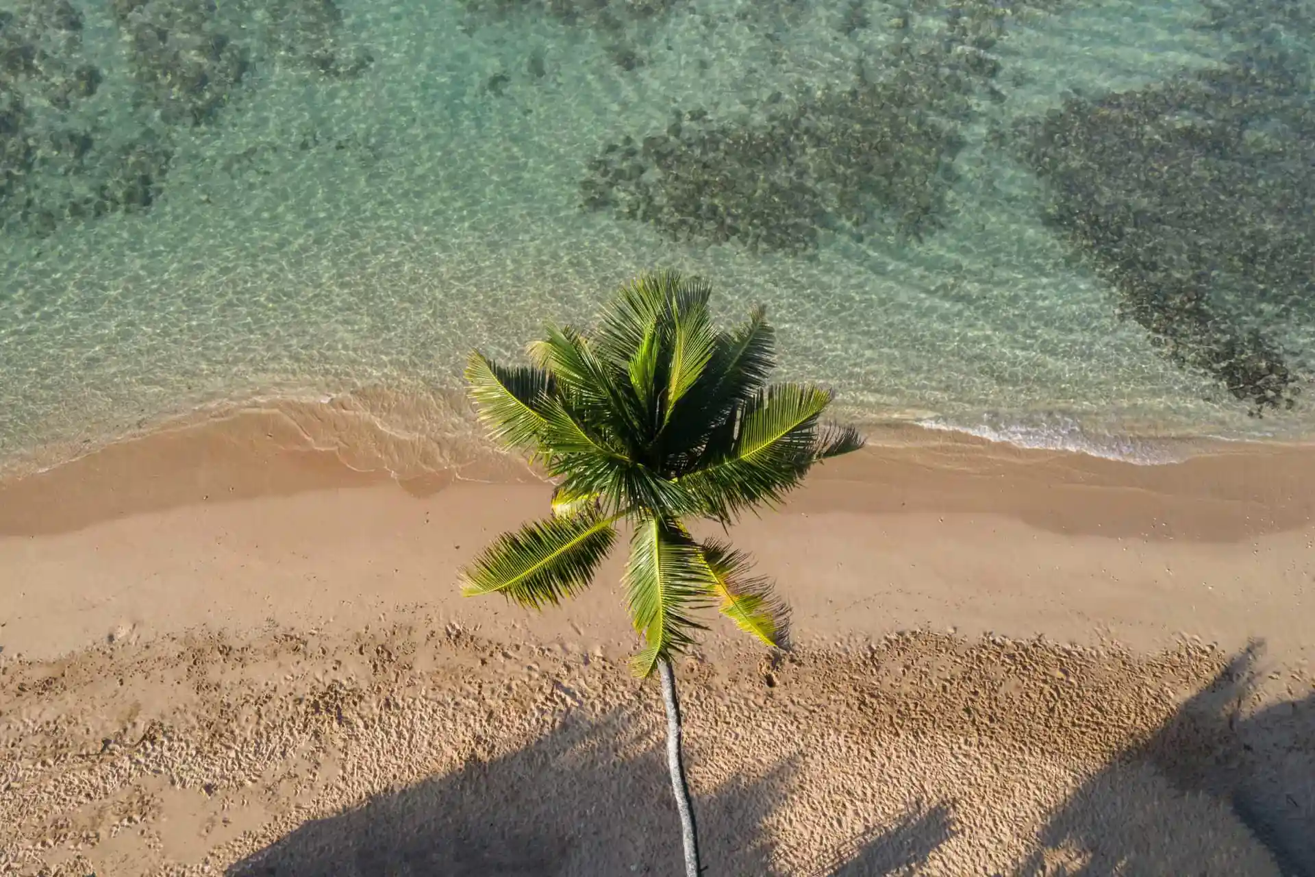 Photo du site de plongée