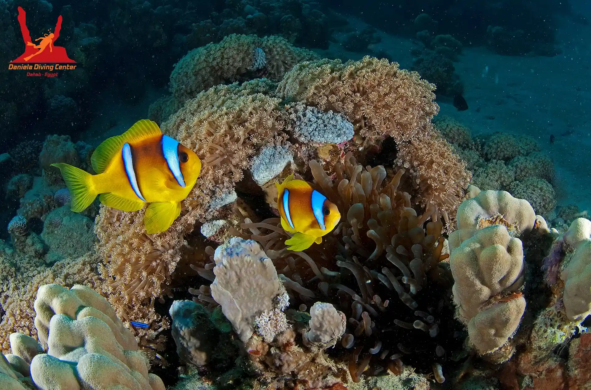 Dive shop photo
