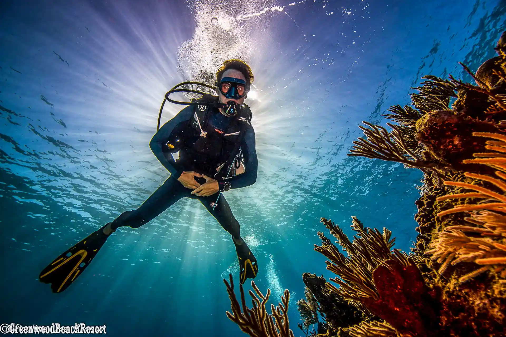 Dive shop photo