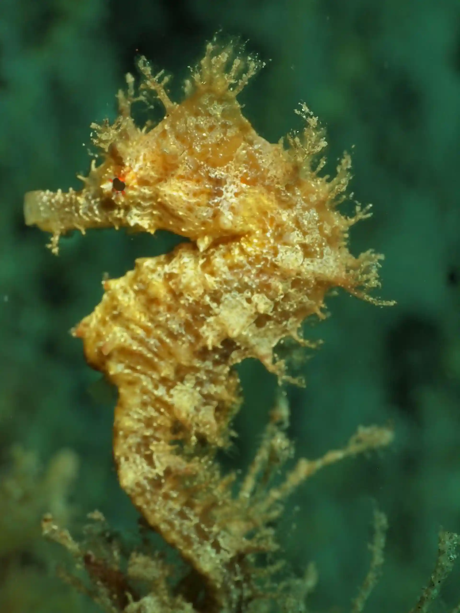 다이빙 포인트 사진