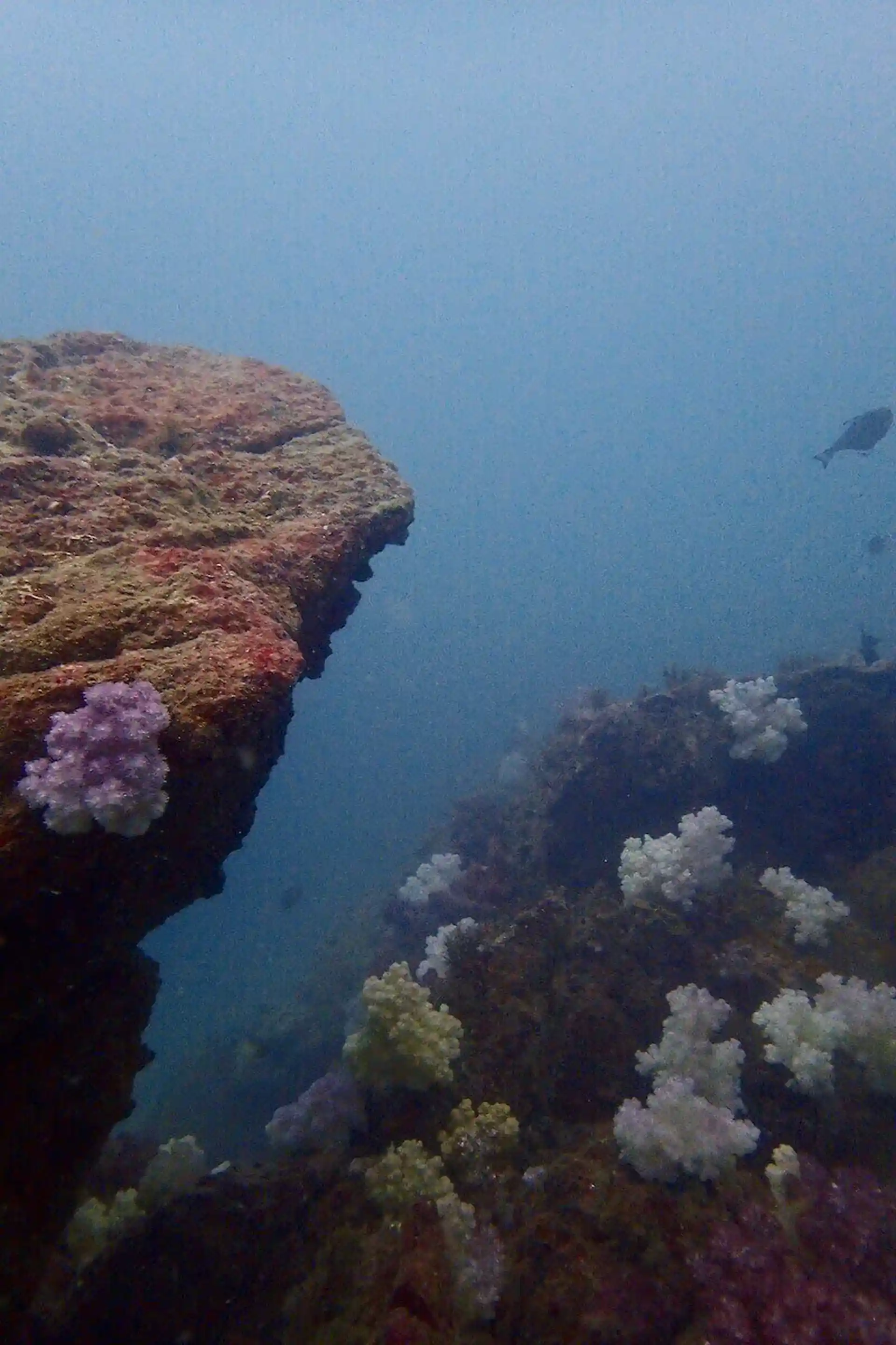 다이빙 포인트 사진