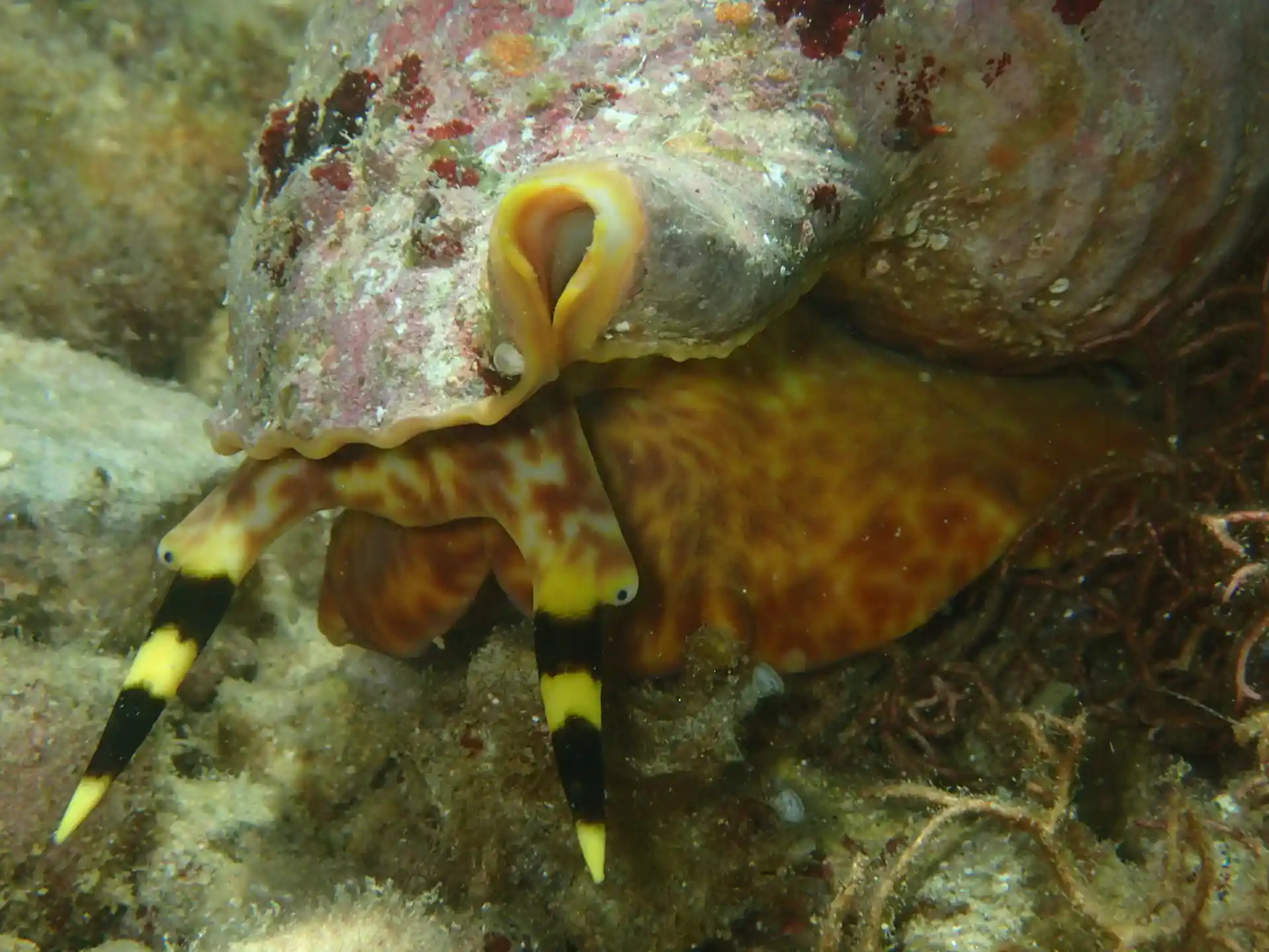 Dive shop photo