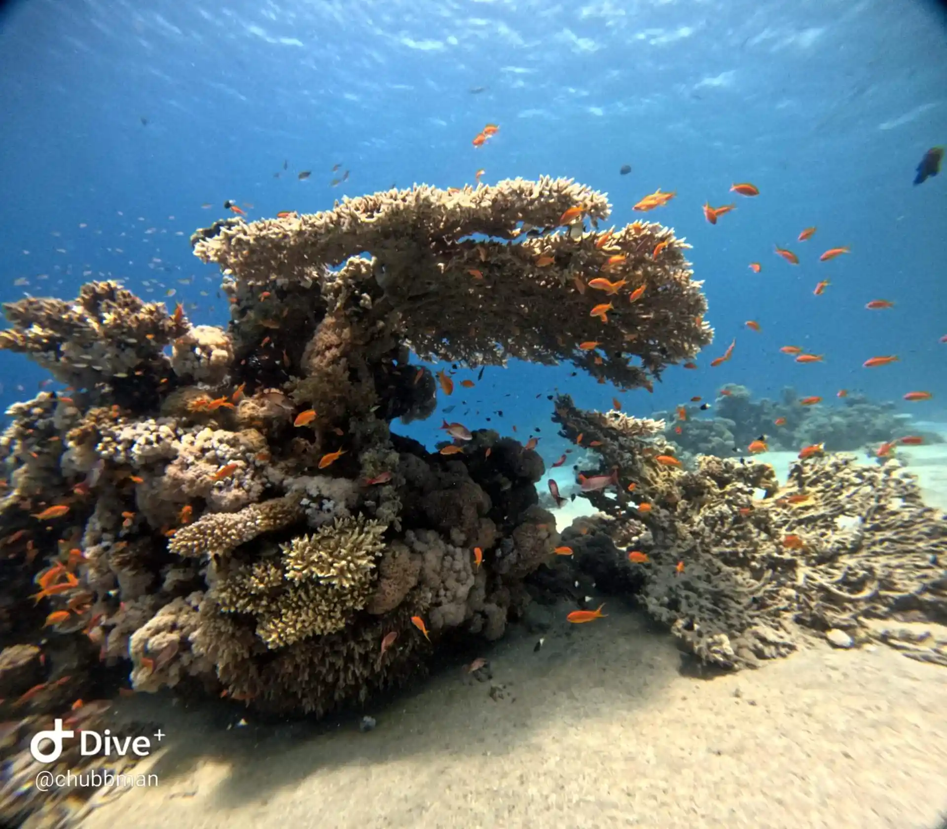 Dive site photo