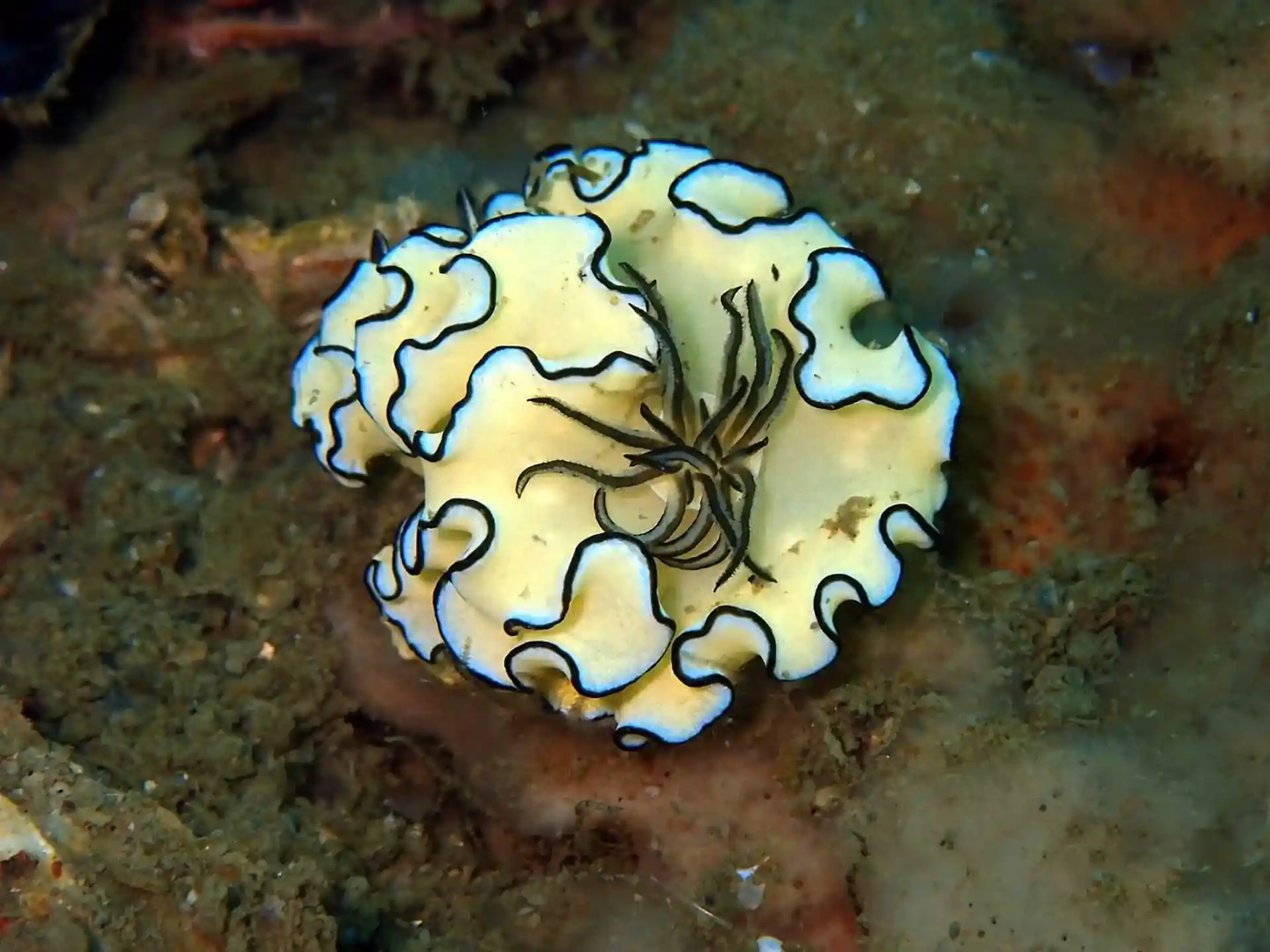 Dive site photo