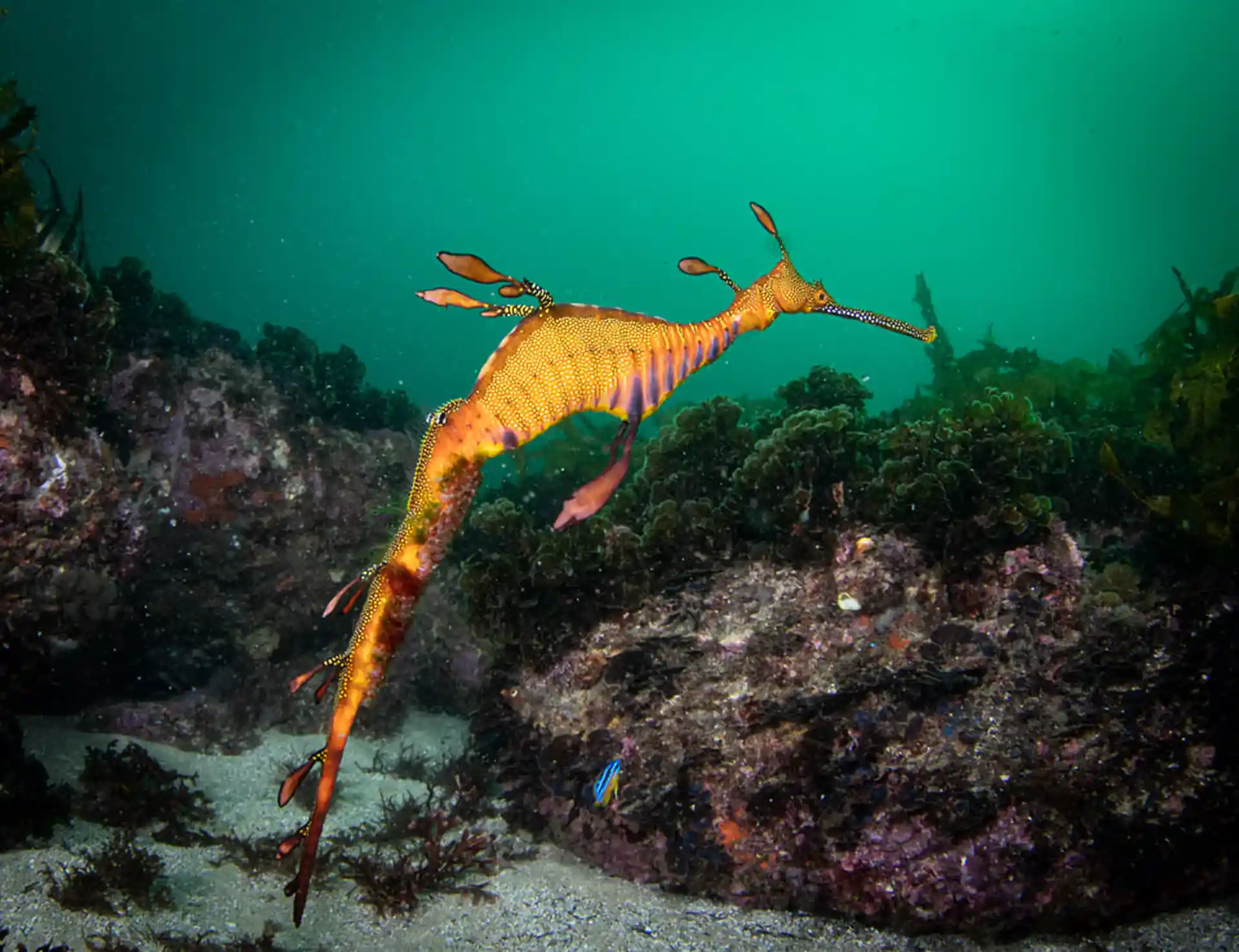 Dive site photo