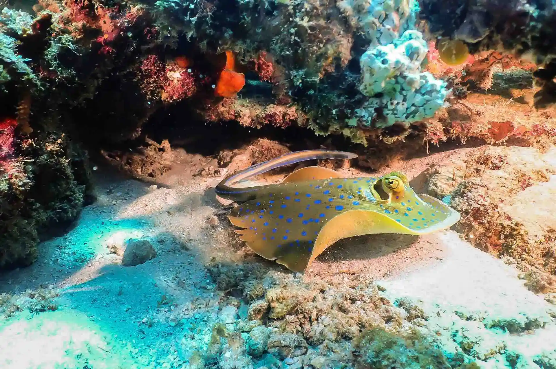 Dive site photo