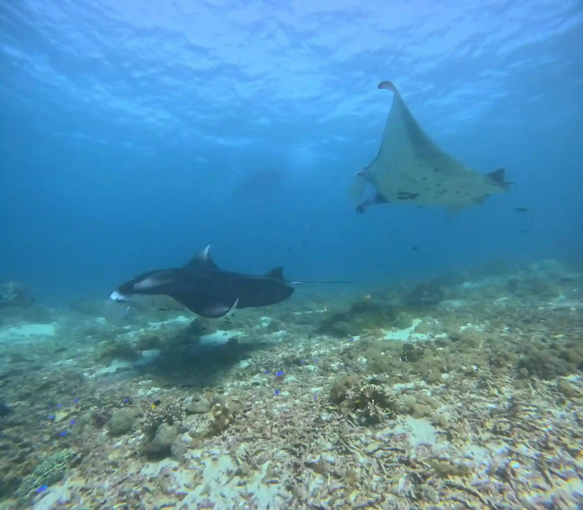 Dive site photo