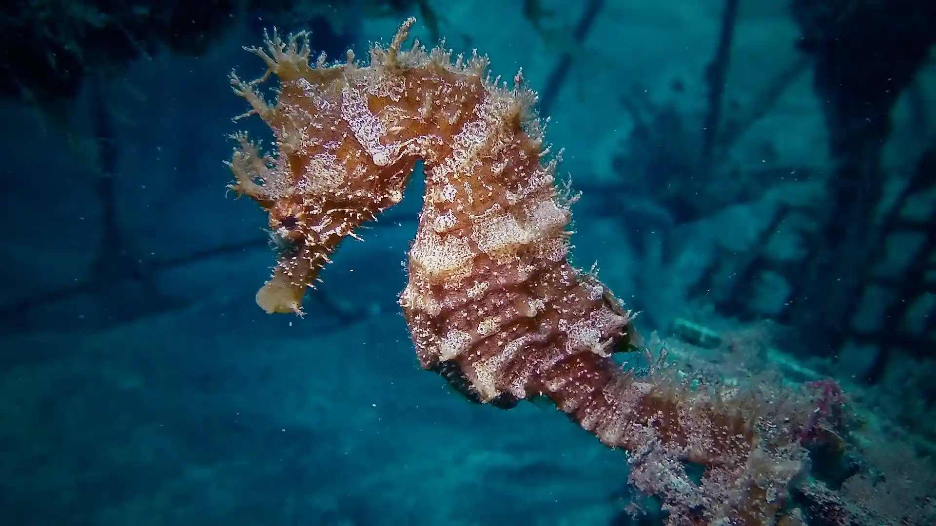 Foto de la actividad