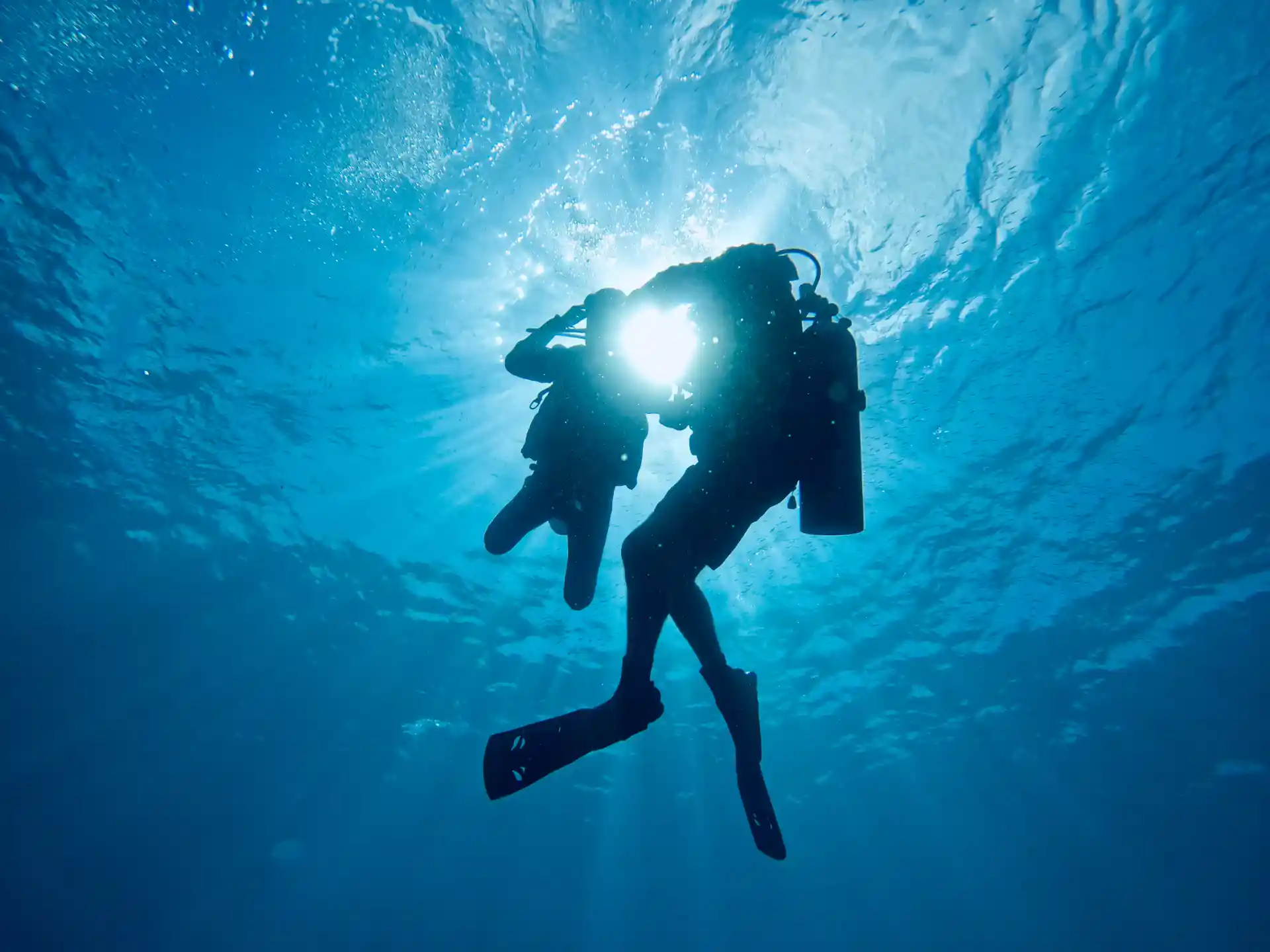 Diving days
