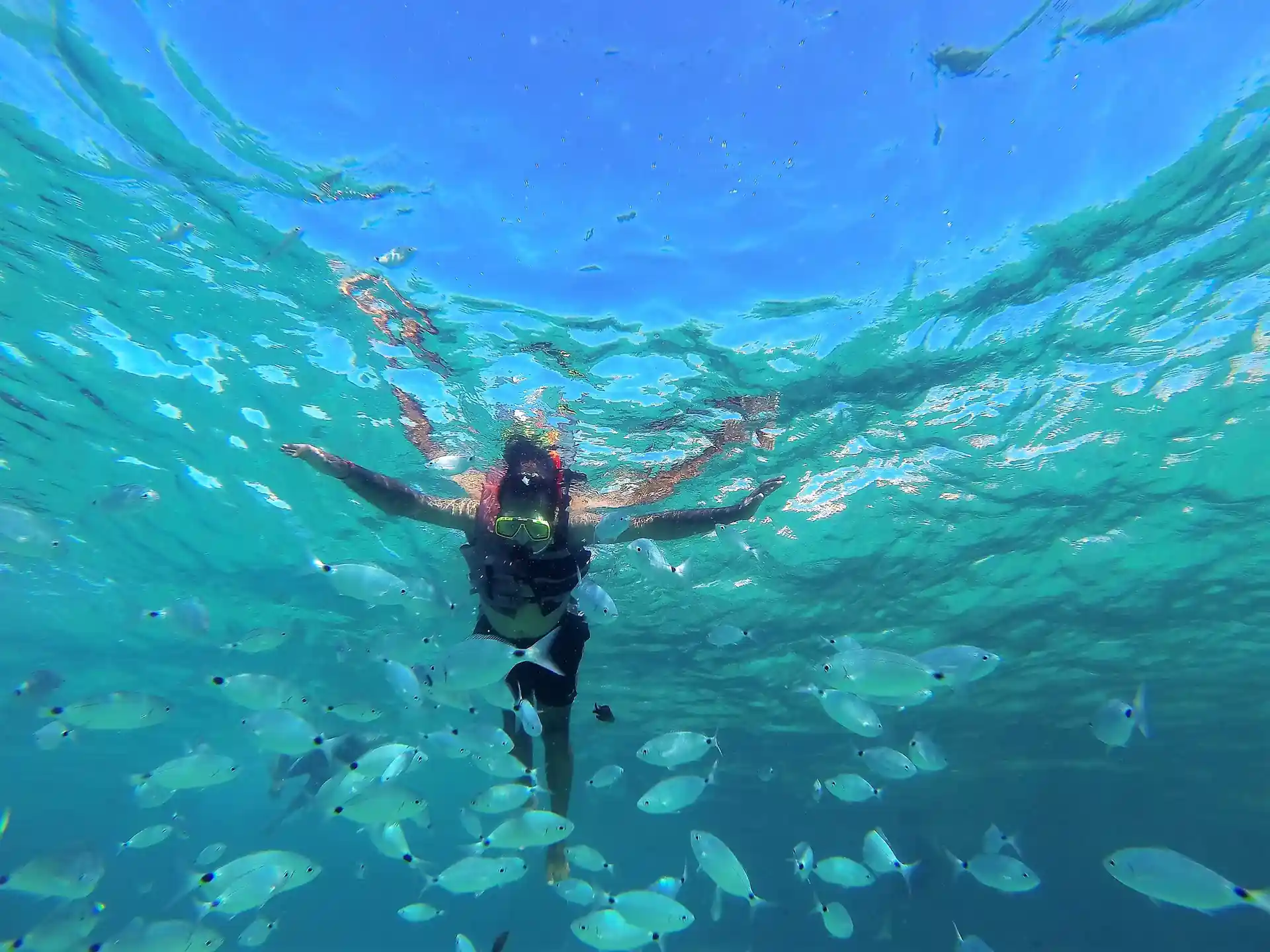 snorkel with fishes in ibiza