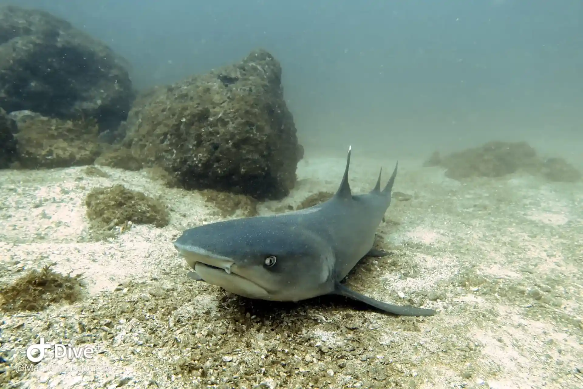 ダイビングサイトの写真