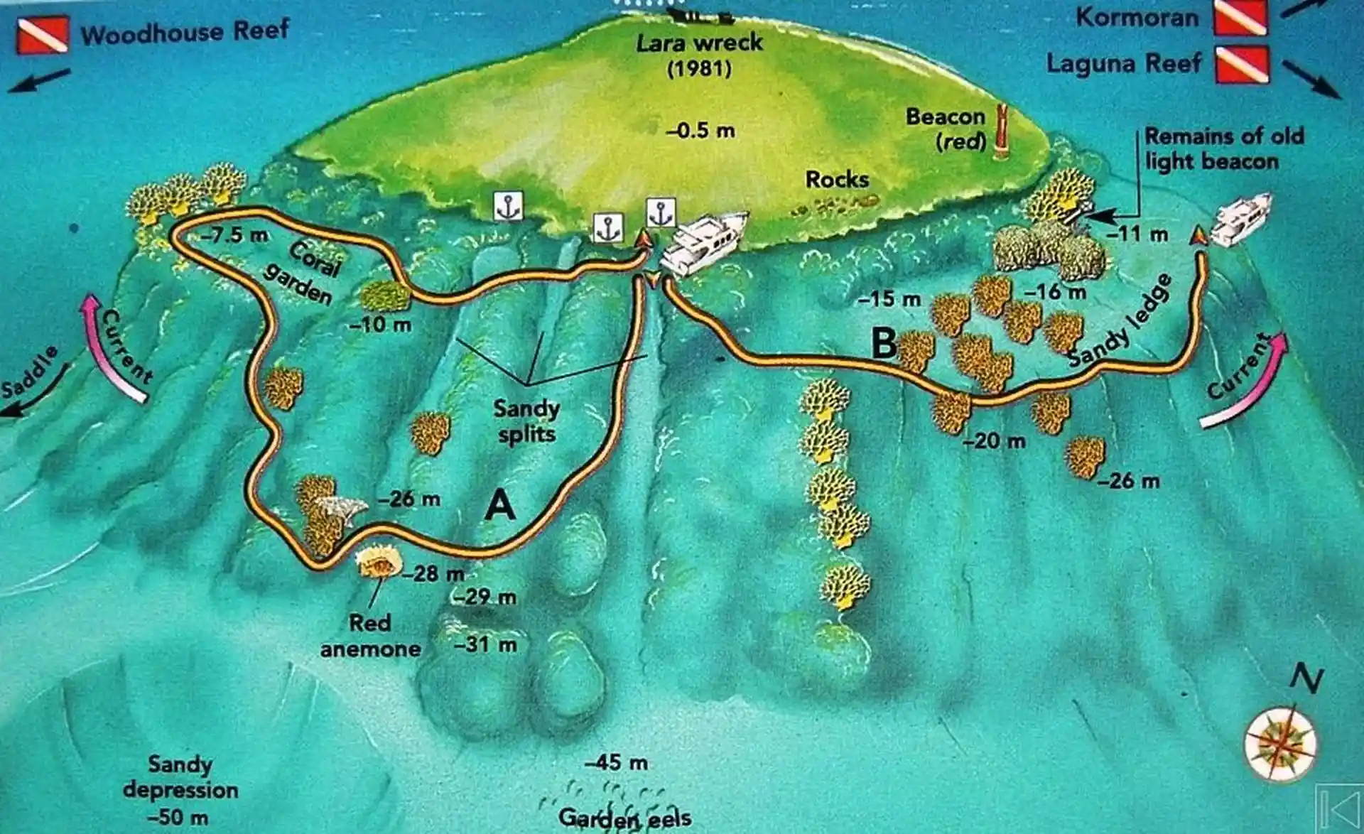 Photo du site de plongée