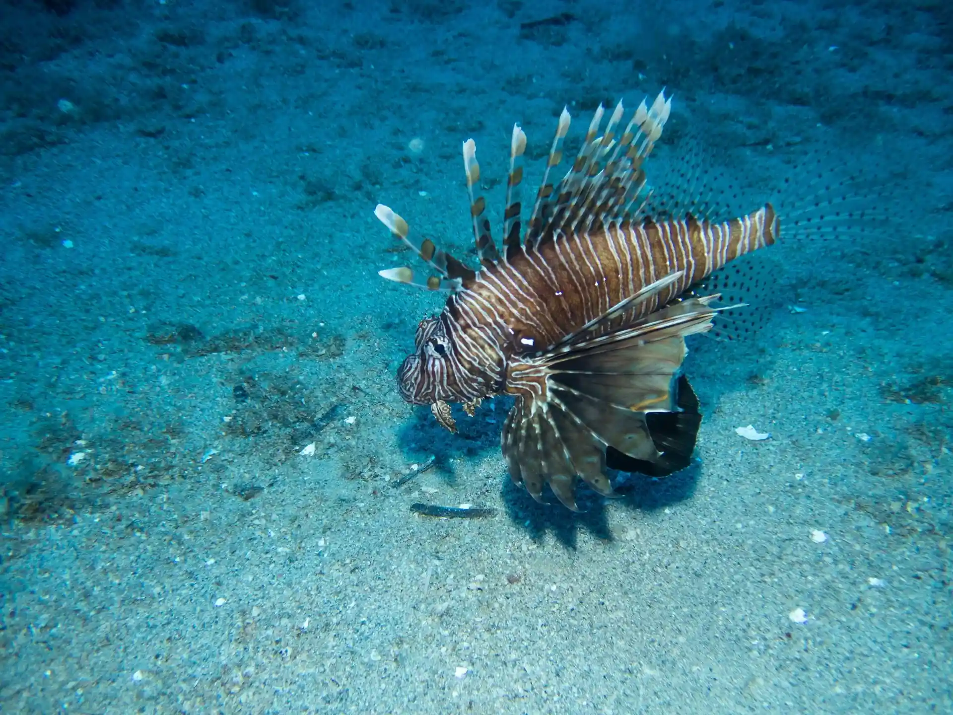 Dive site photo