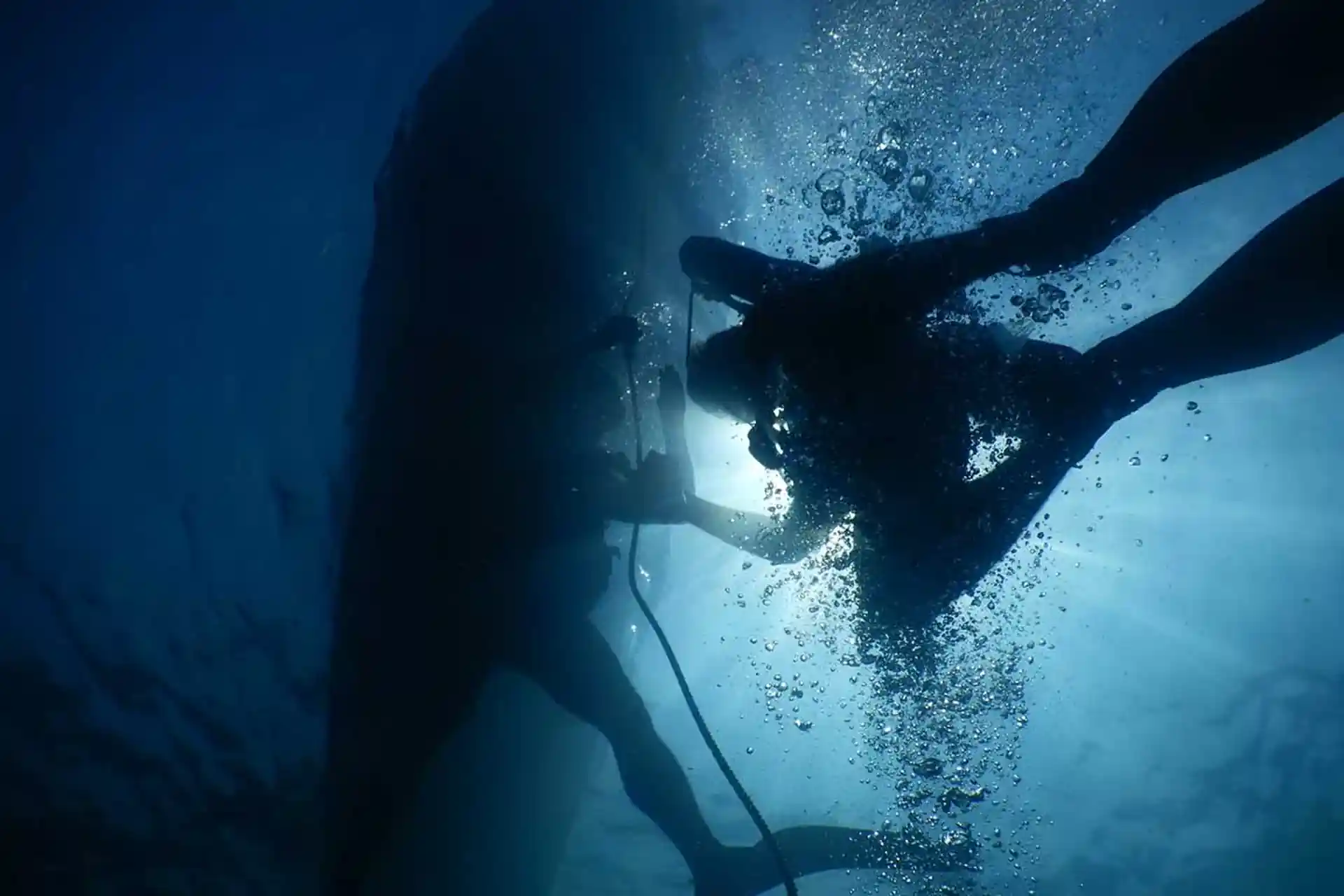 Dive shop photo