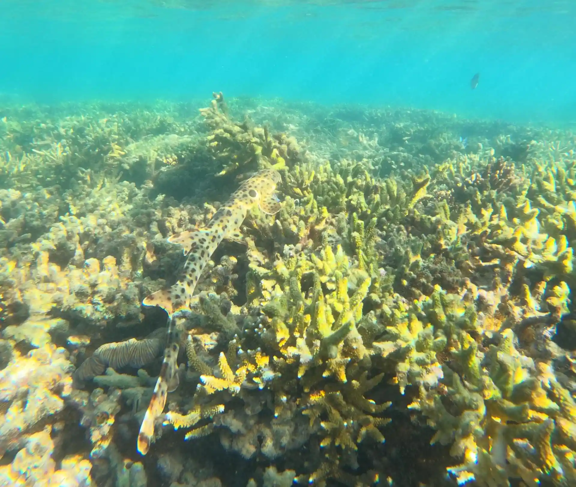 Dive site photo
