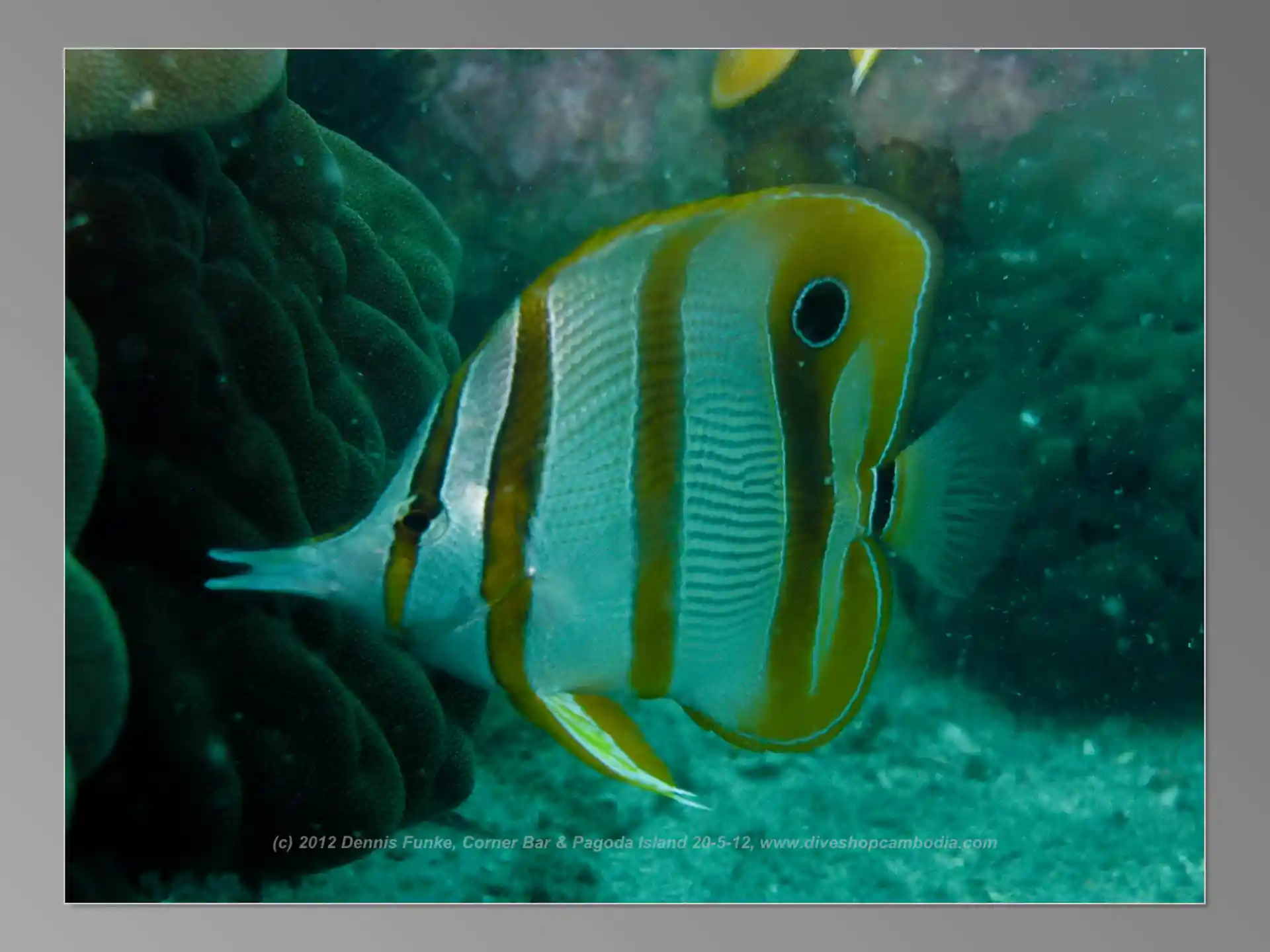 Dive site photo