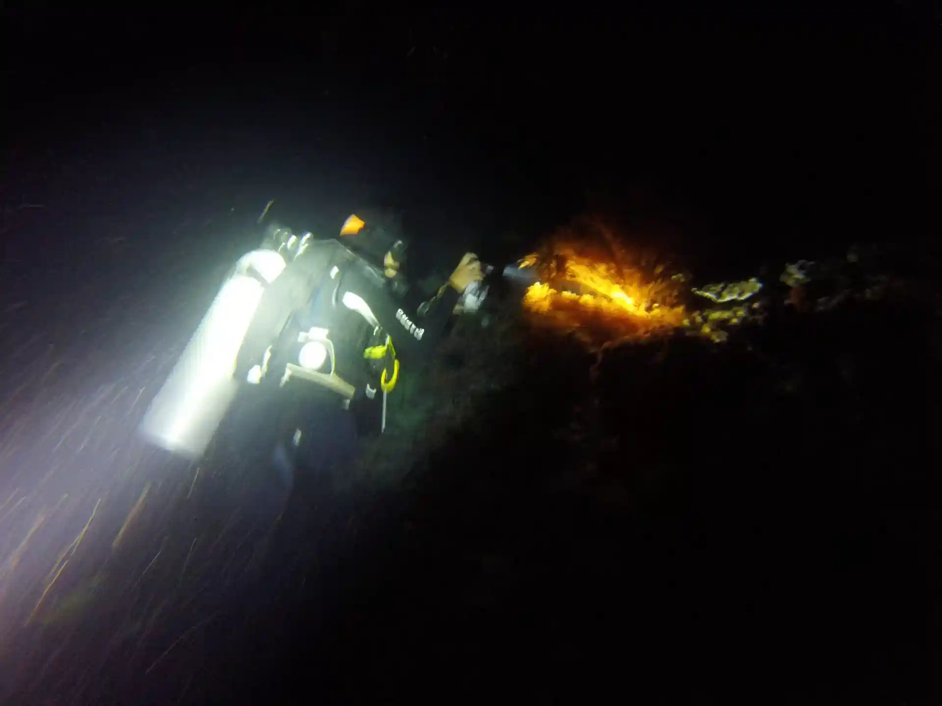 Dive site photo