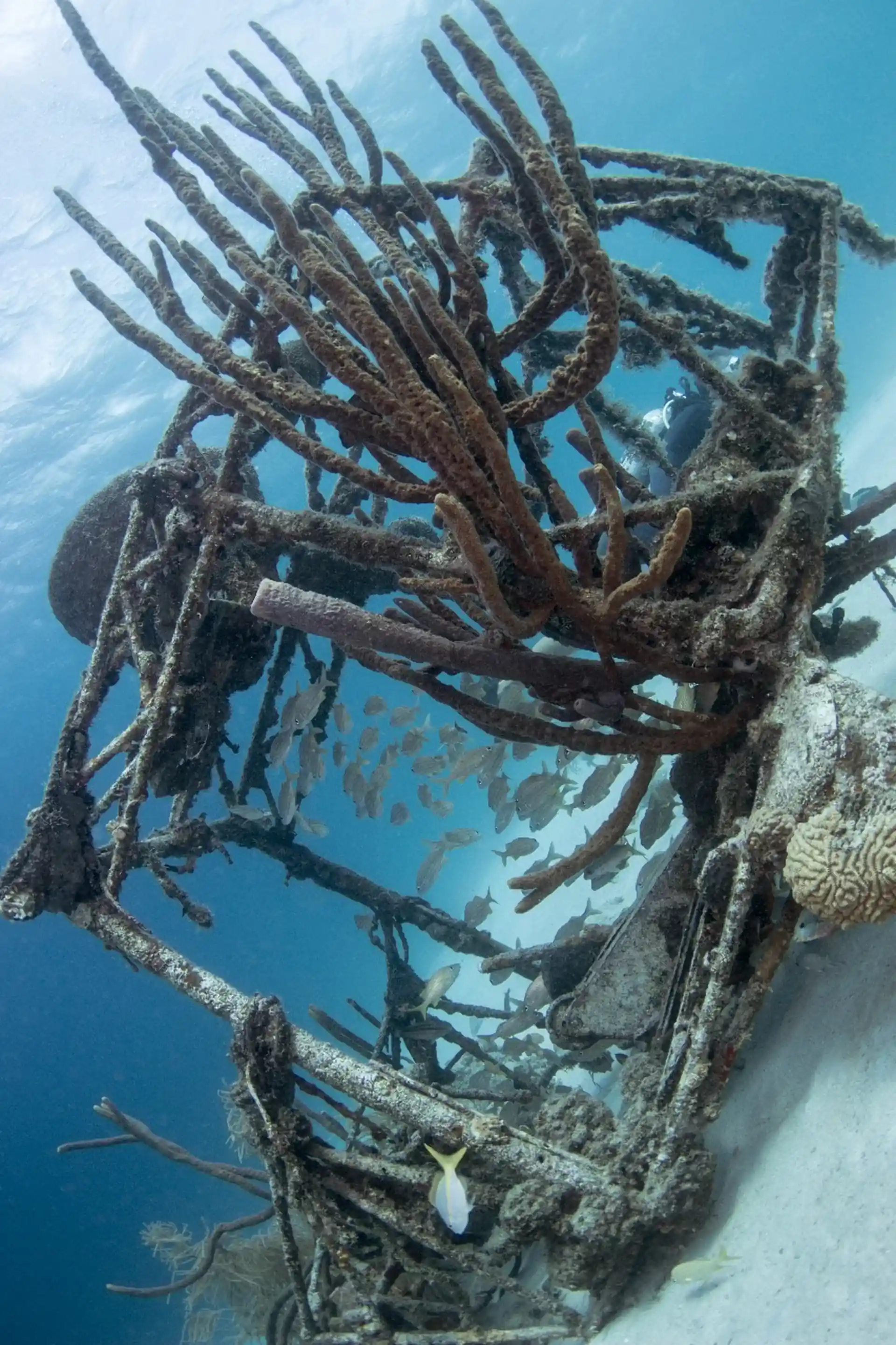 Foto des Tauchplatzes