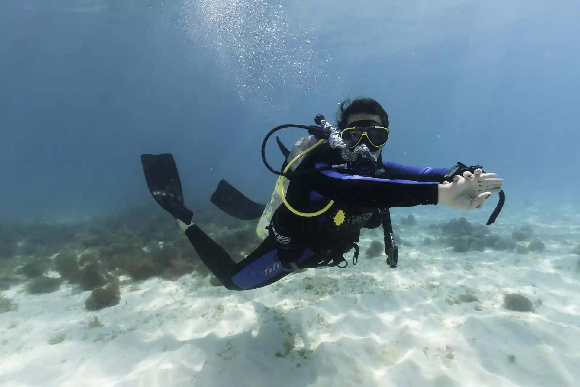 Photo de l'activité