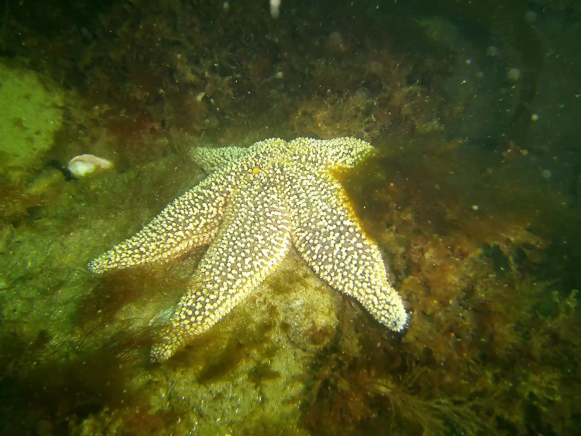 Dive site photo
